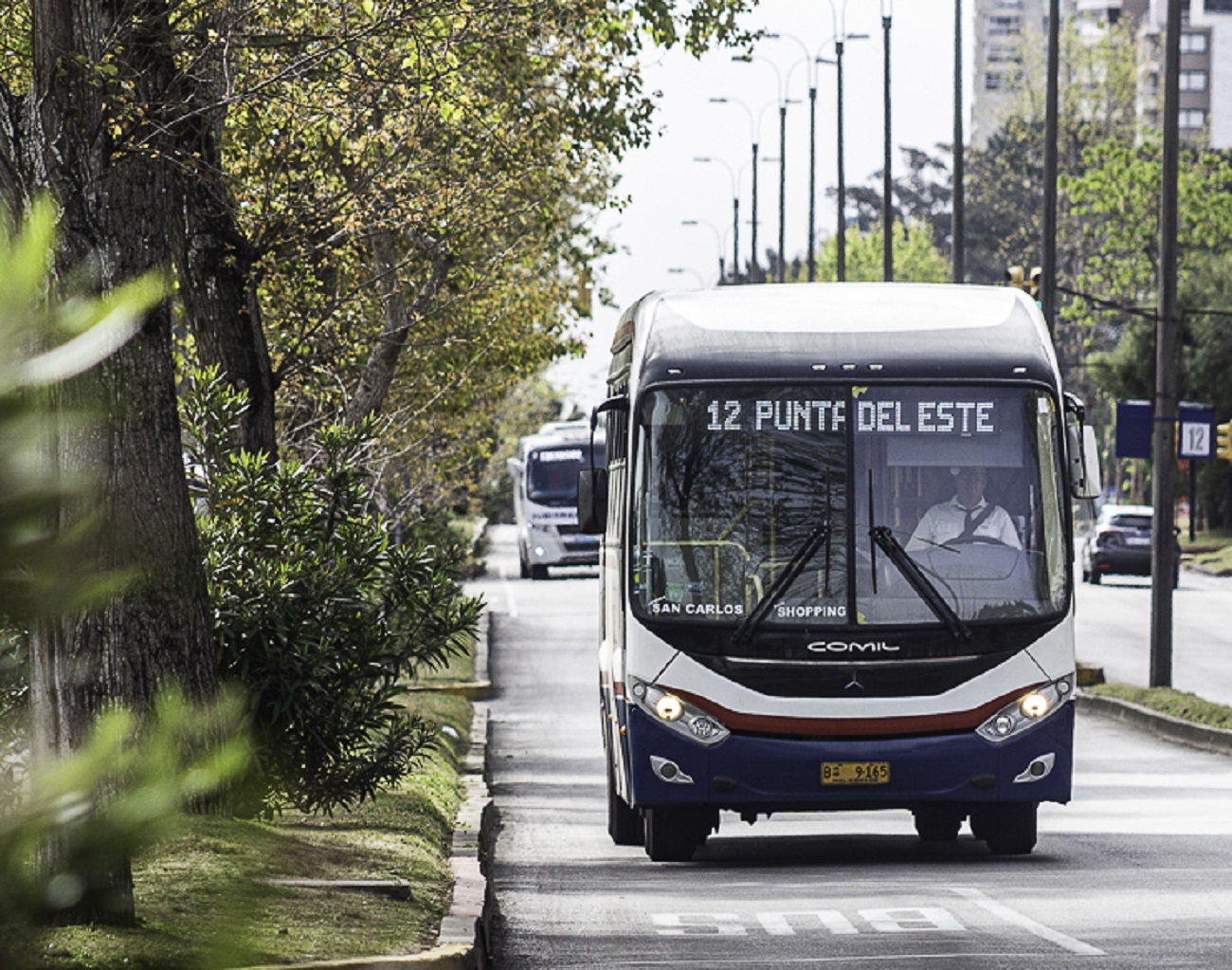 Líneas de transporte colectivo de pasajeros