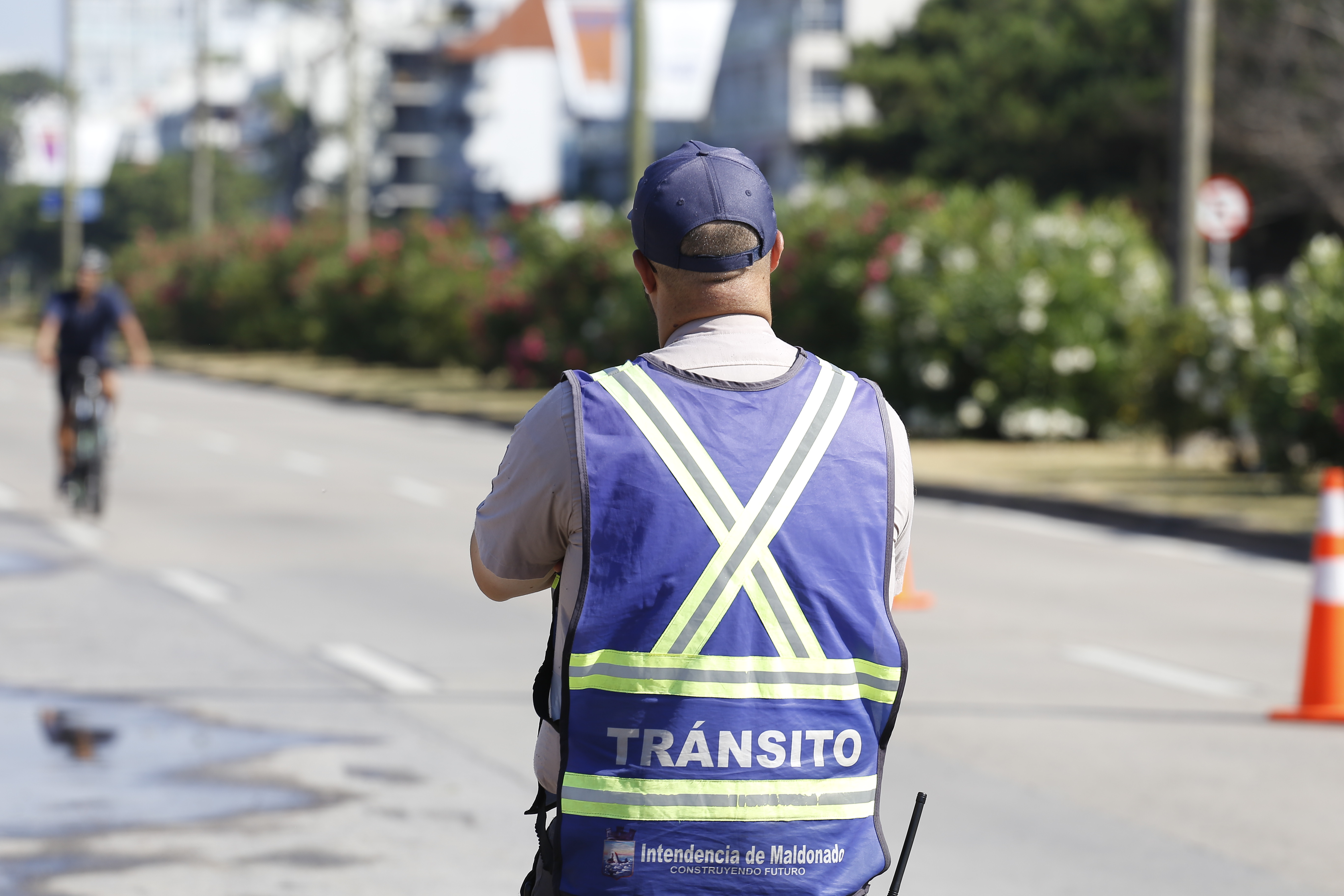 inspector de transito