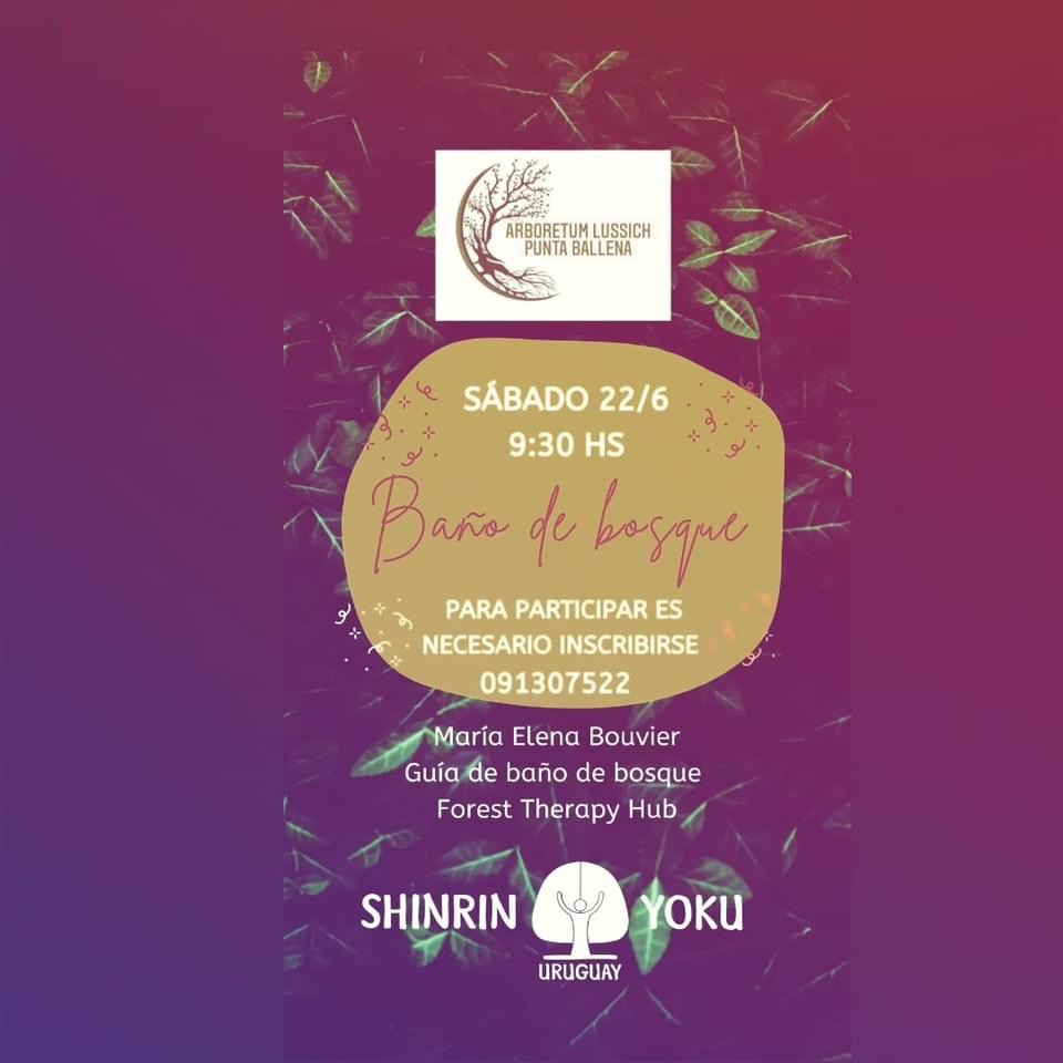baño de bosque