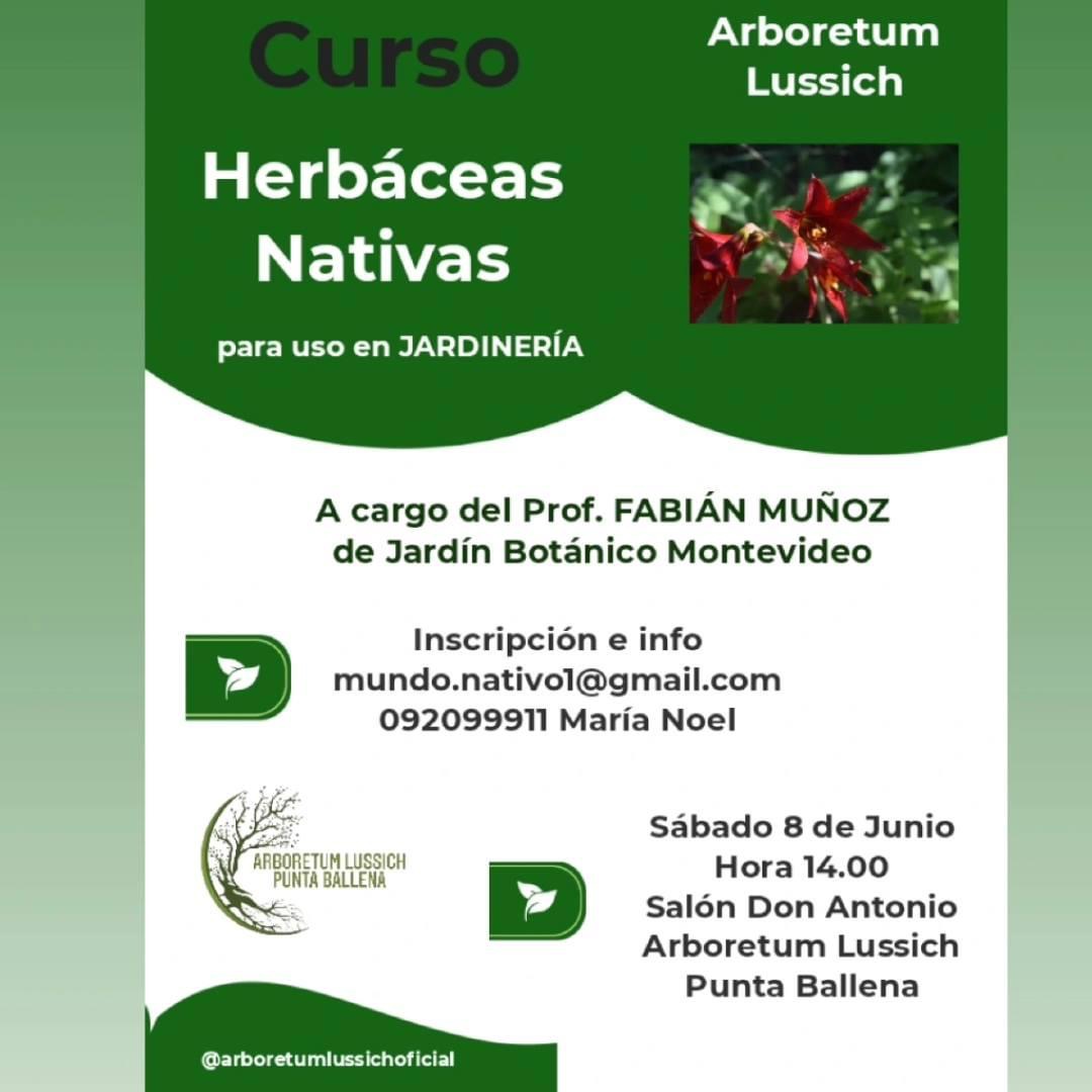 herbáceas