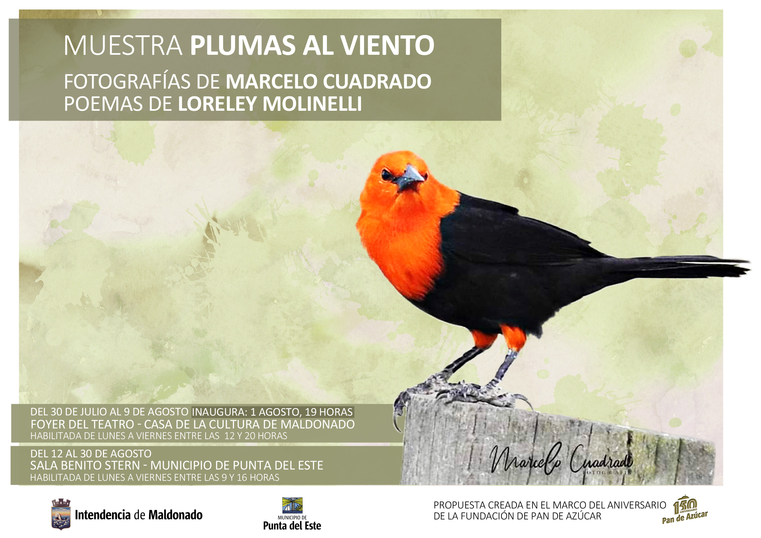 muestras cultura idm