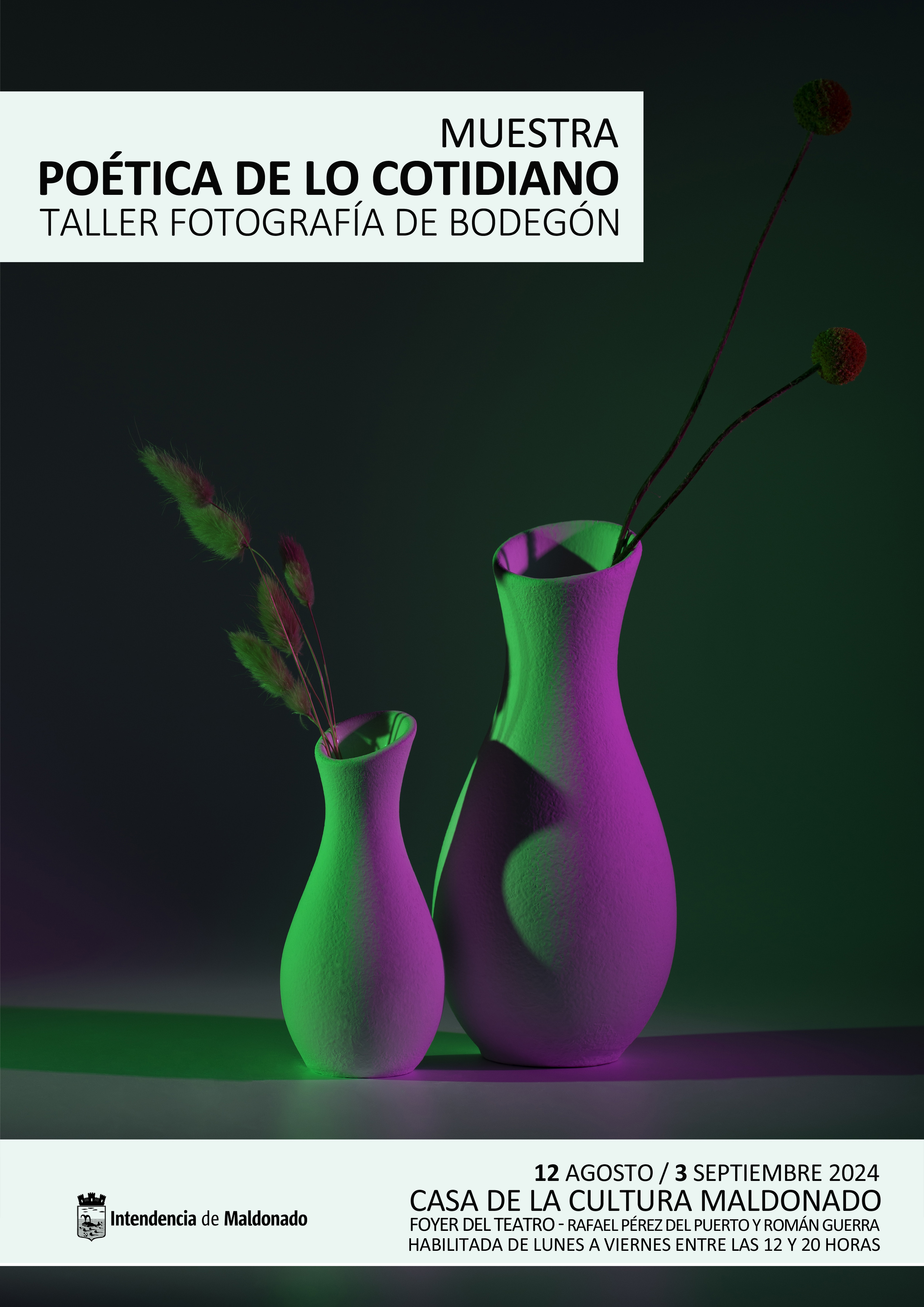 exposicion y taller fotografia 