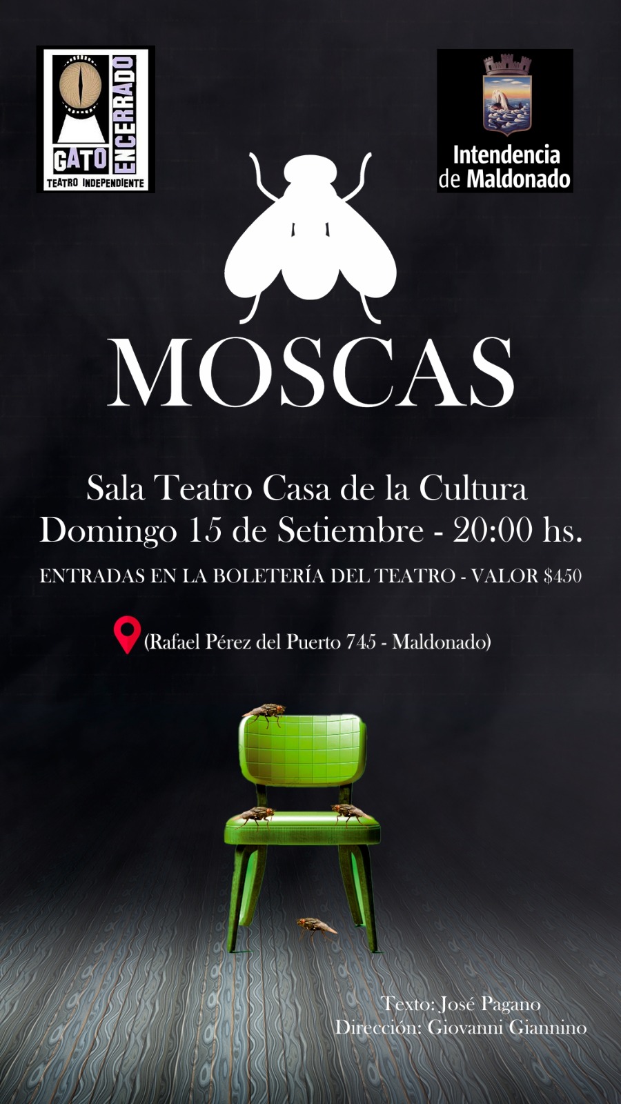 moscas