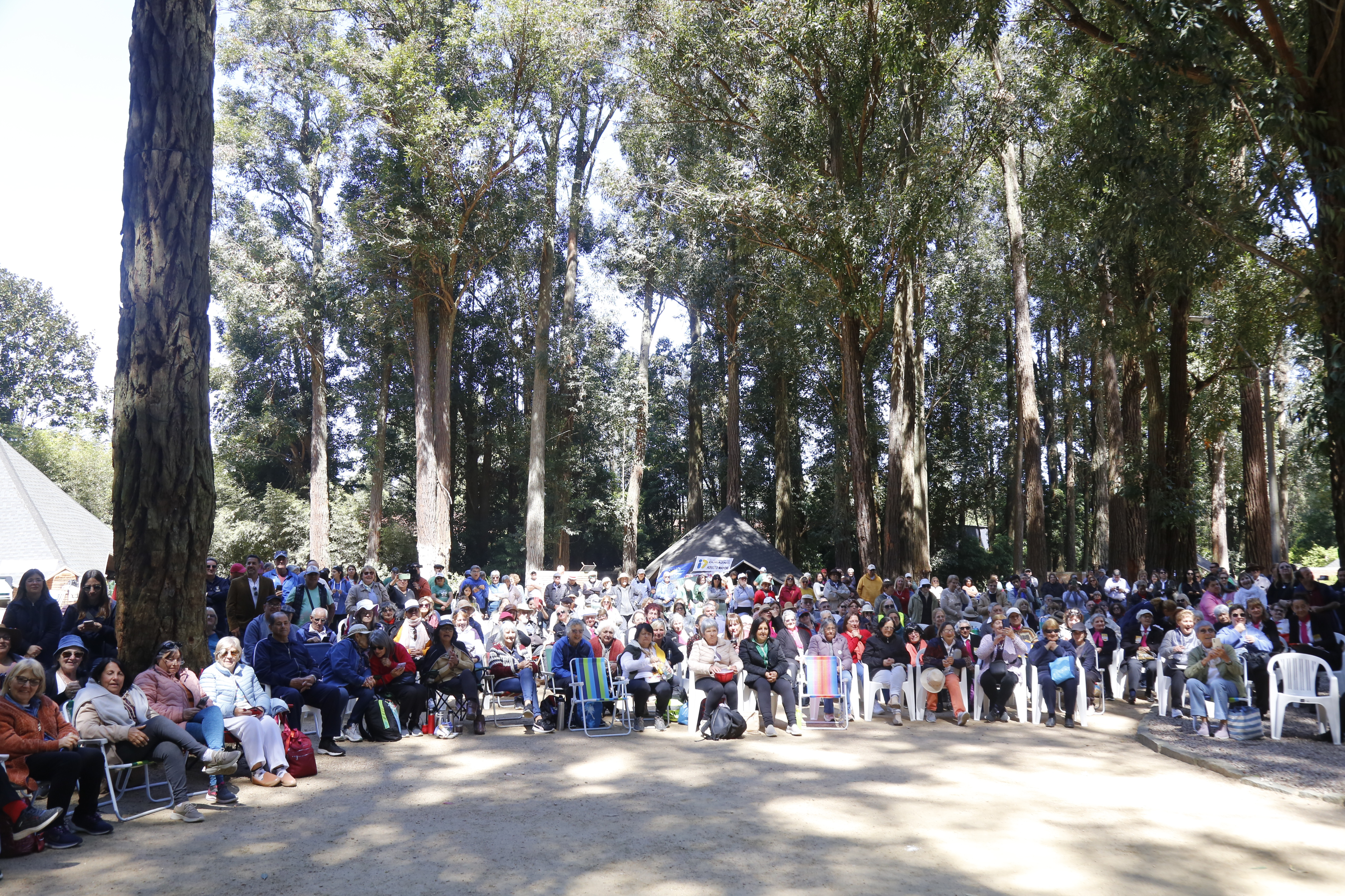 antia encuentro mayores