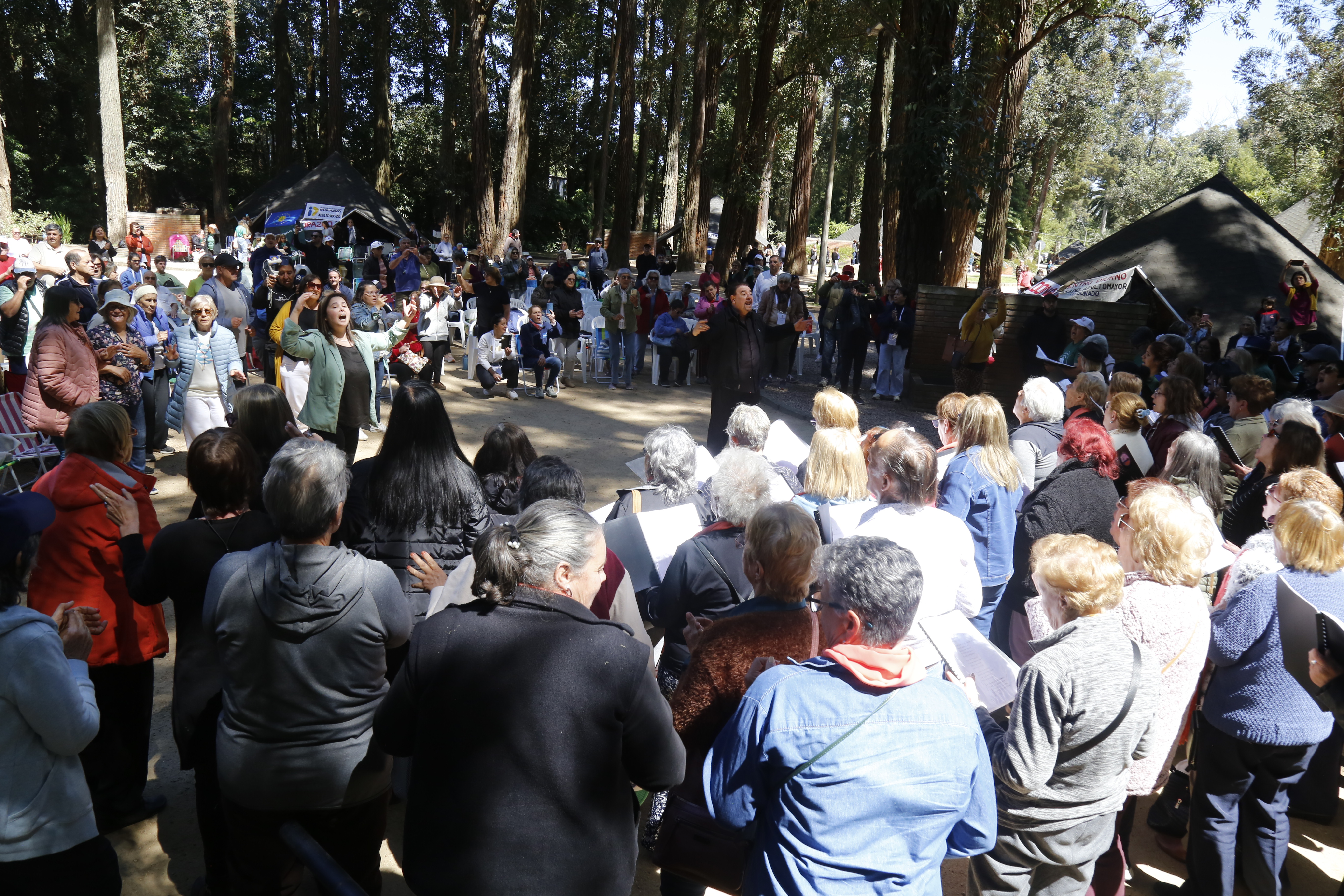 antia encuentro mayores