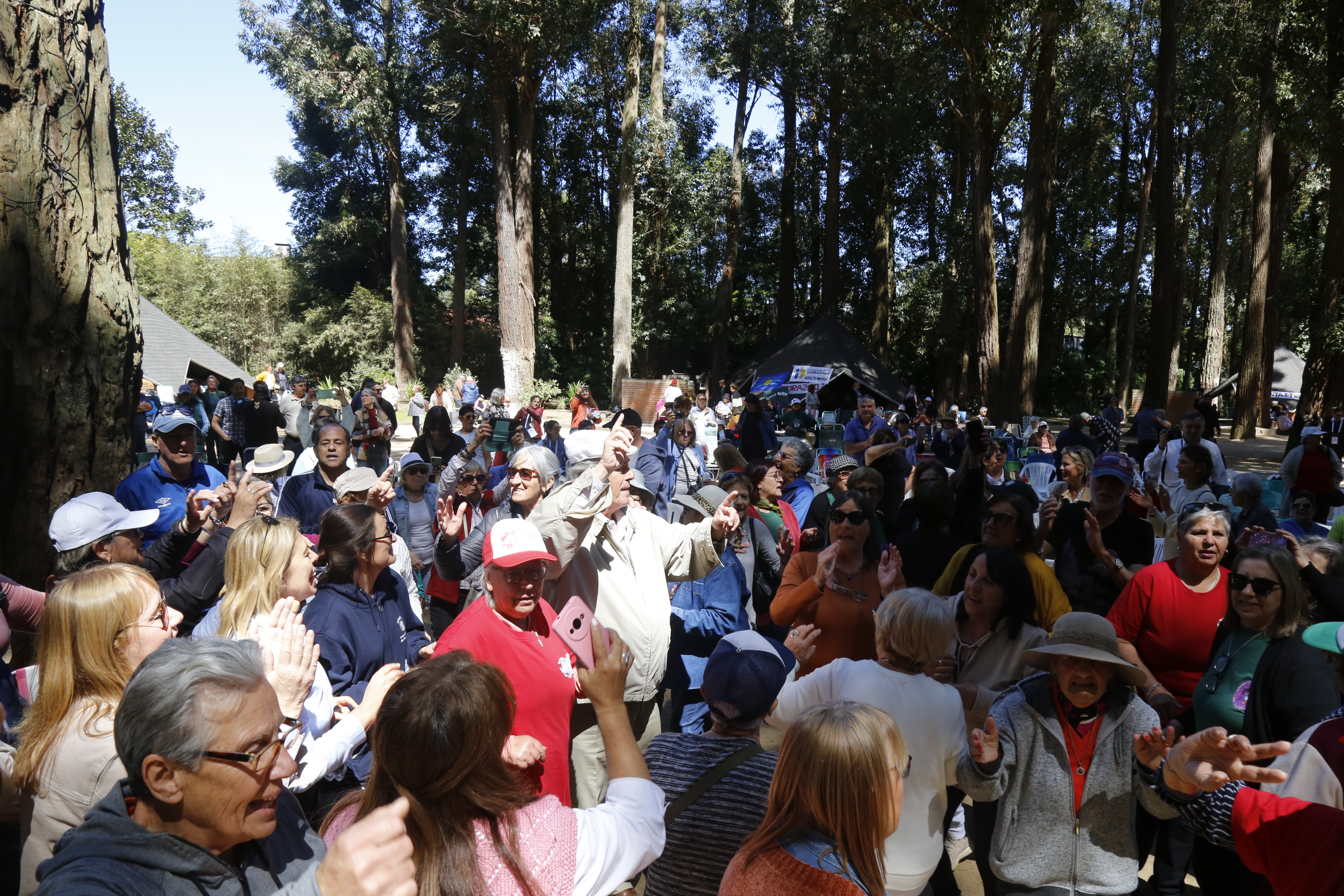 antia encuentro mayores