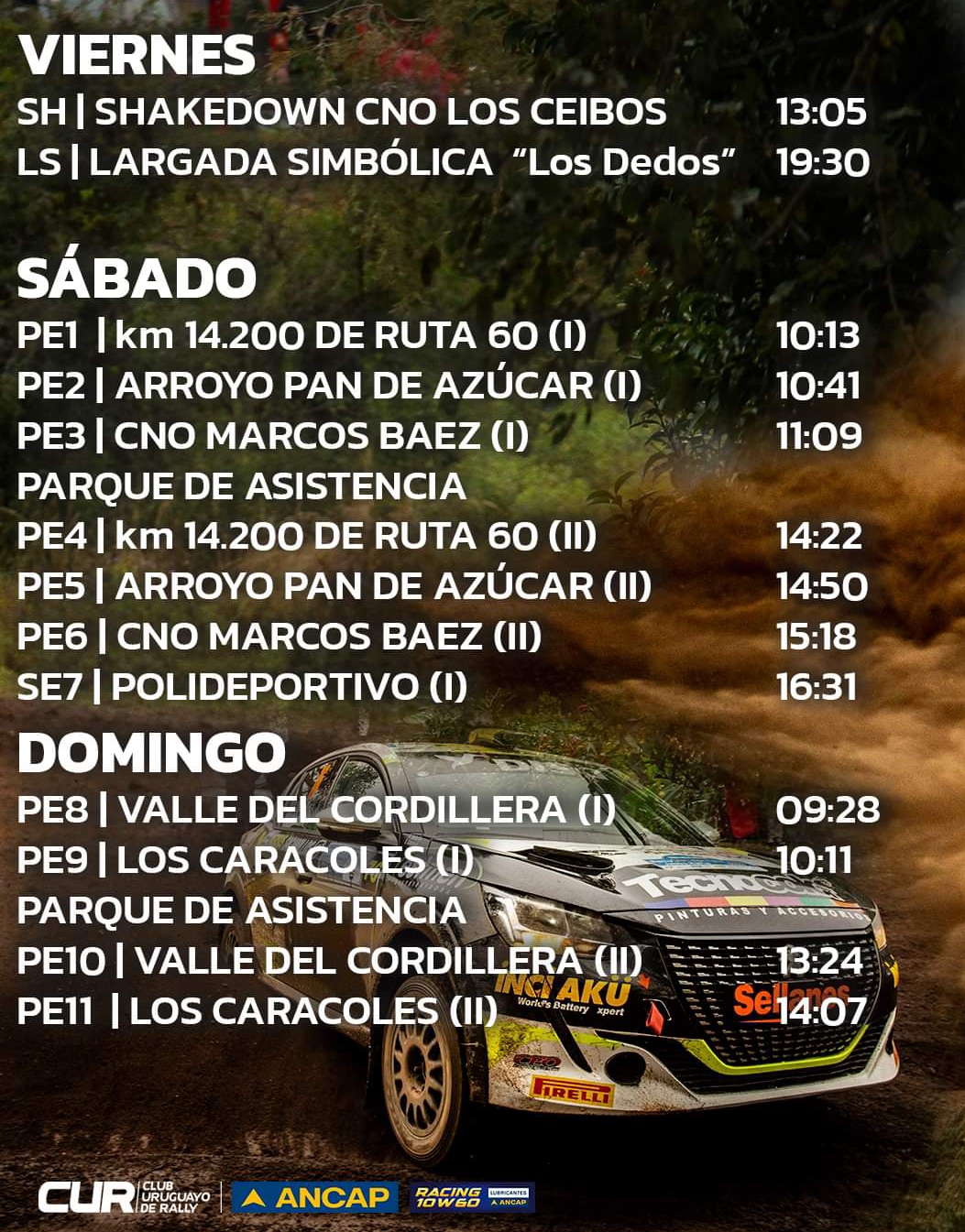 programa rally