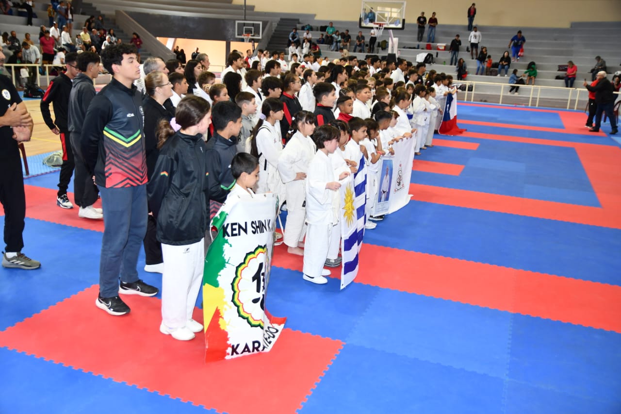 portada karate