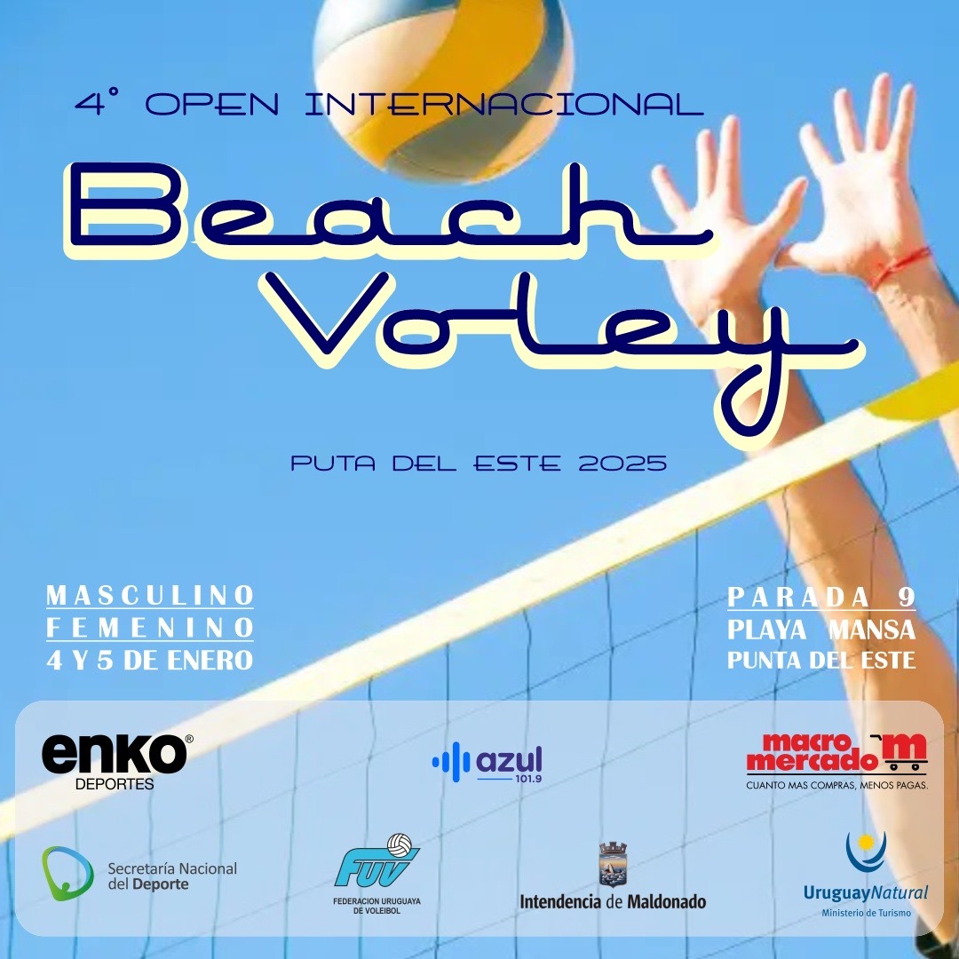 Flyer Beach Volley
