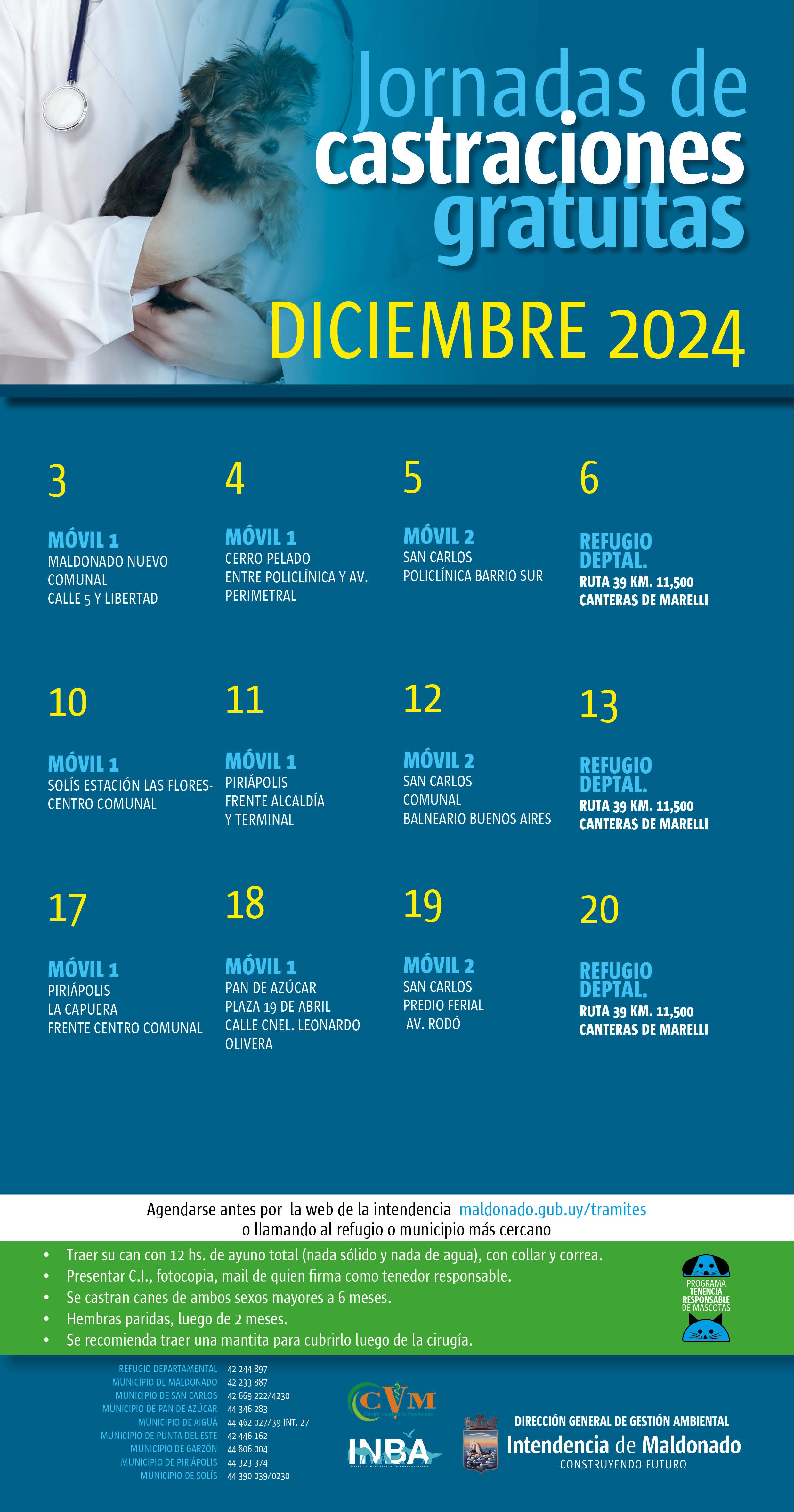 Calendario de castraciones caninas