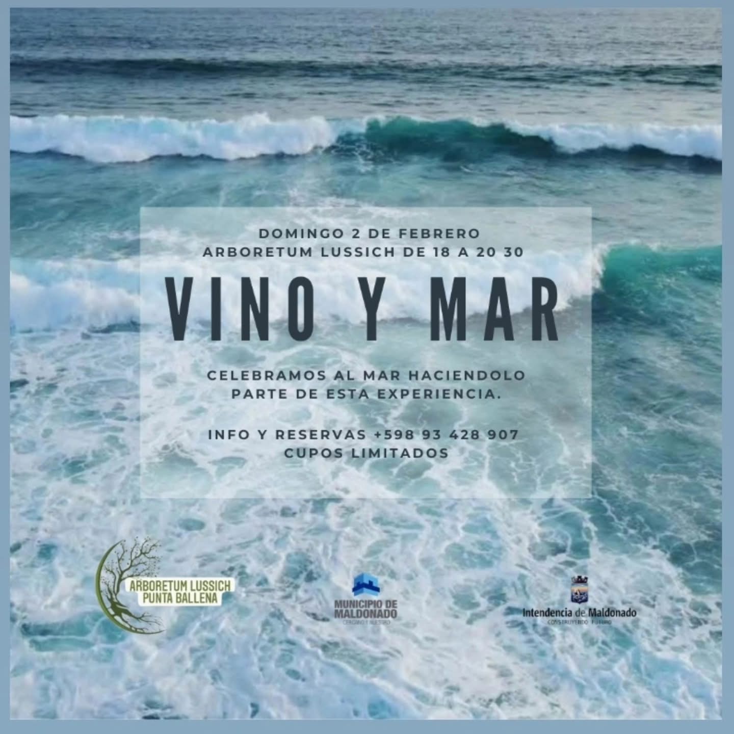 vino y mar