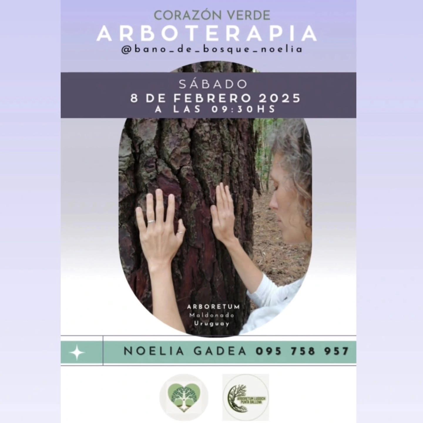 arboterapia