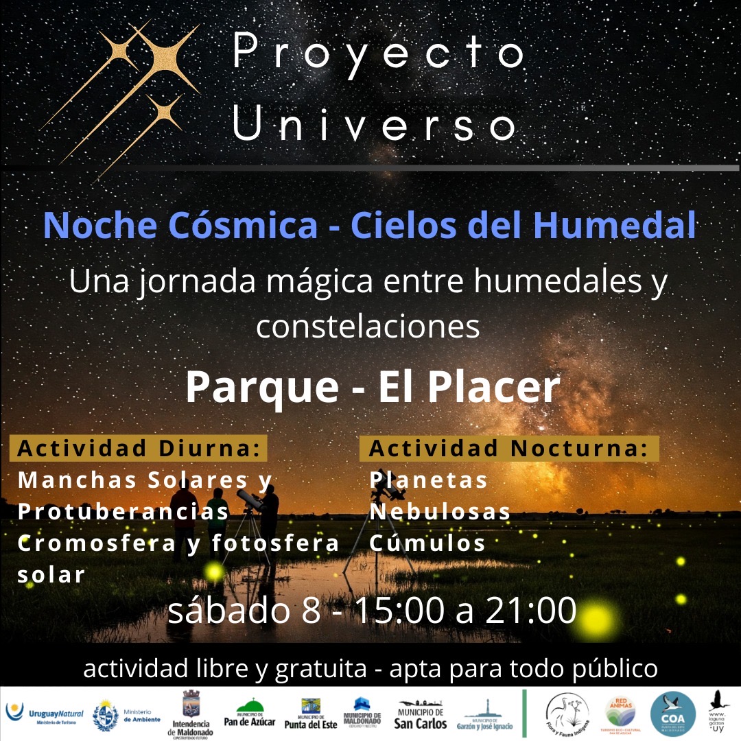 proyecto