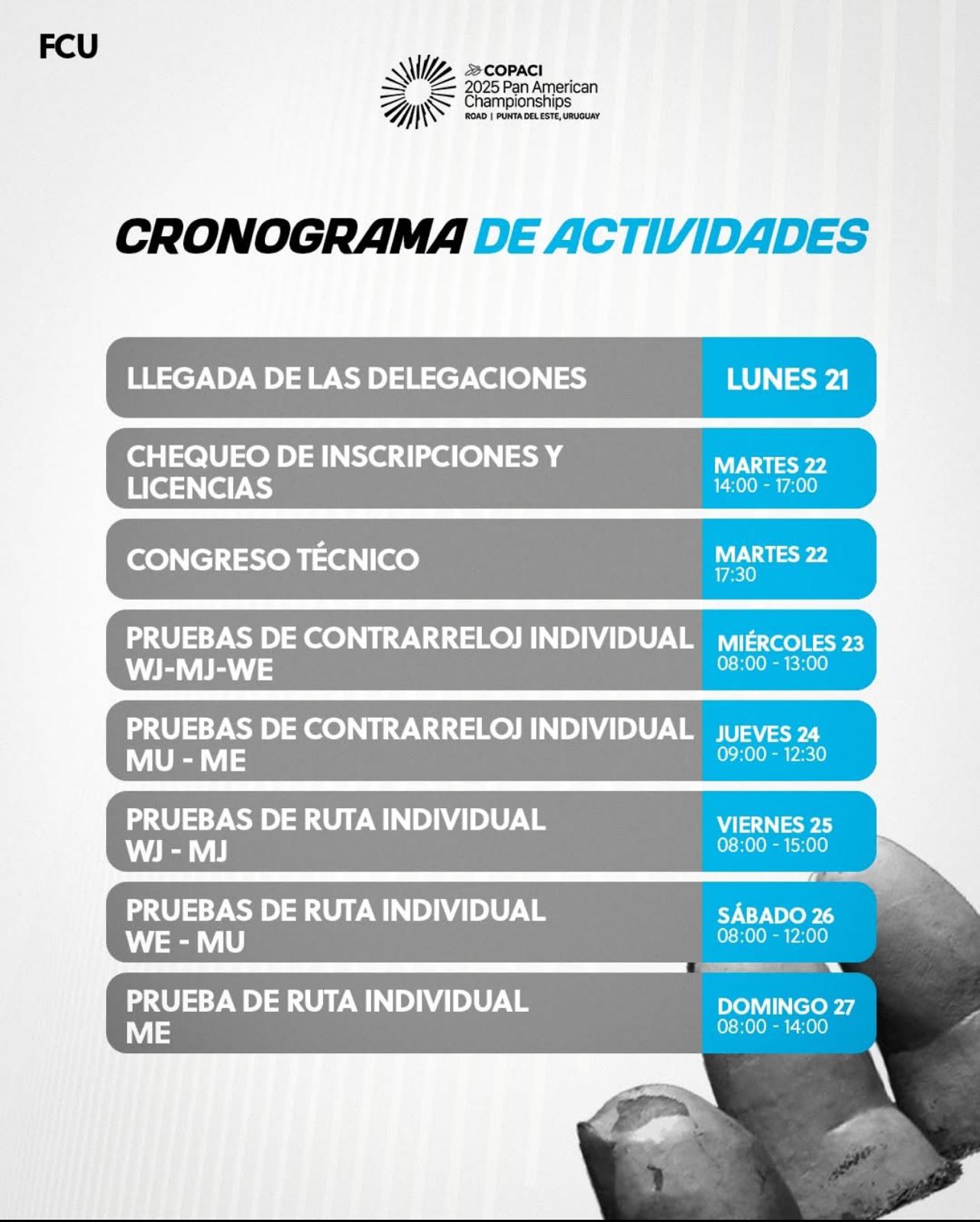 cronograma