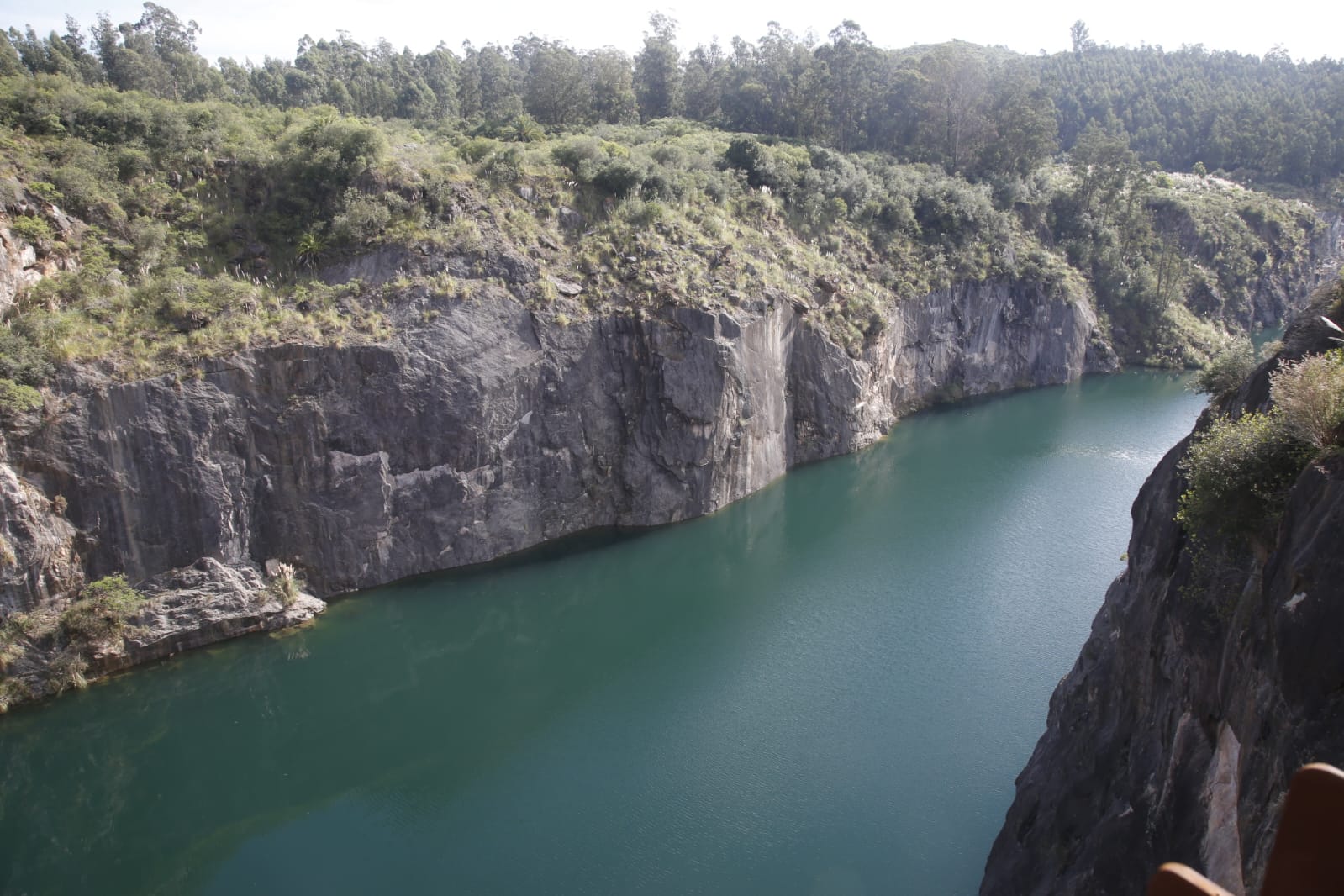 nueva carrara mirador