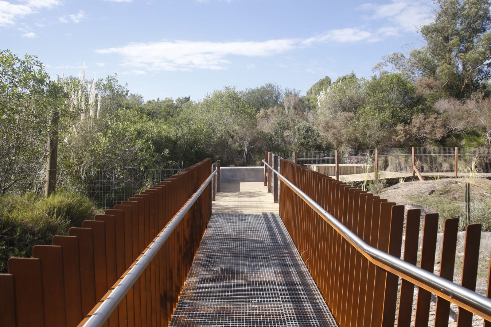 nueva carrara mirador