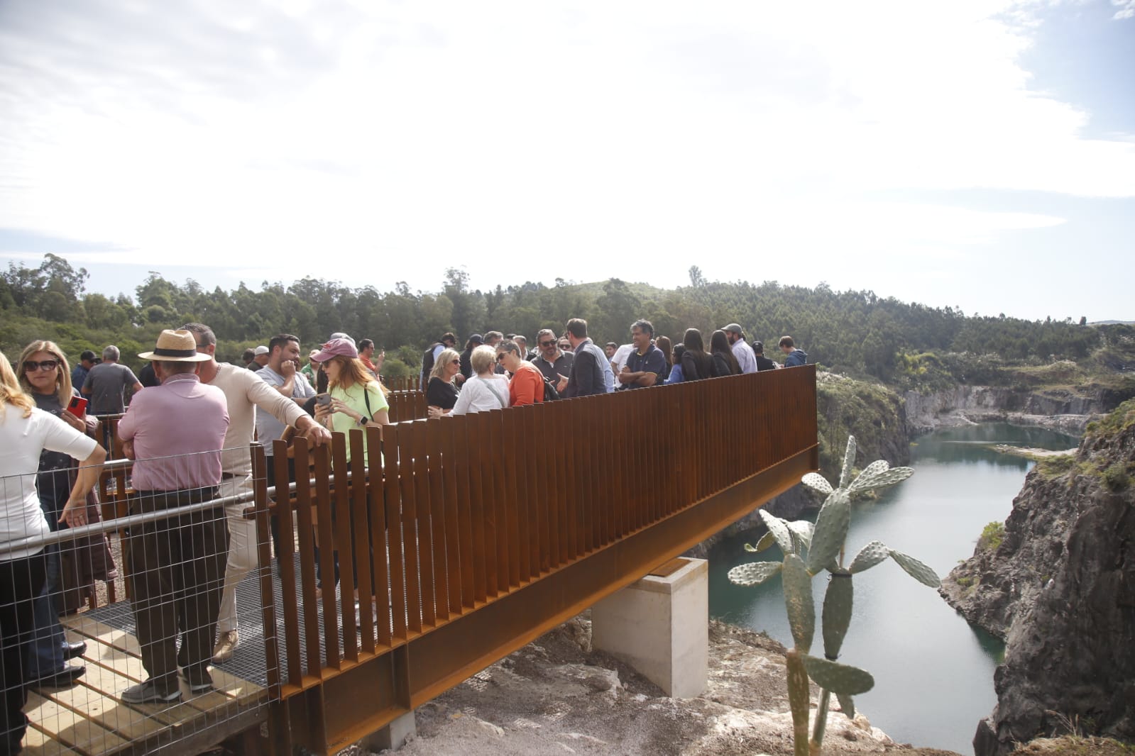 nueva carrara mirador