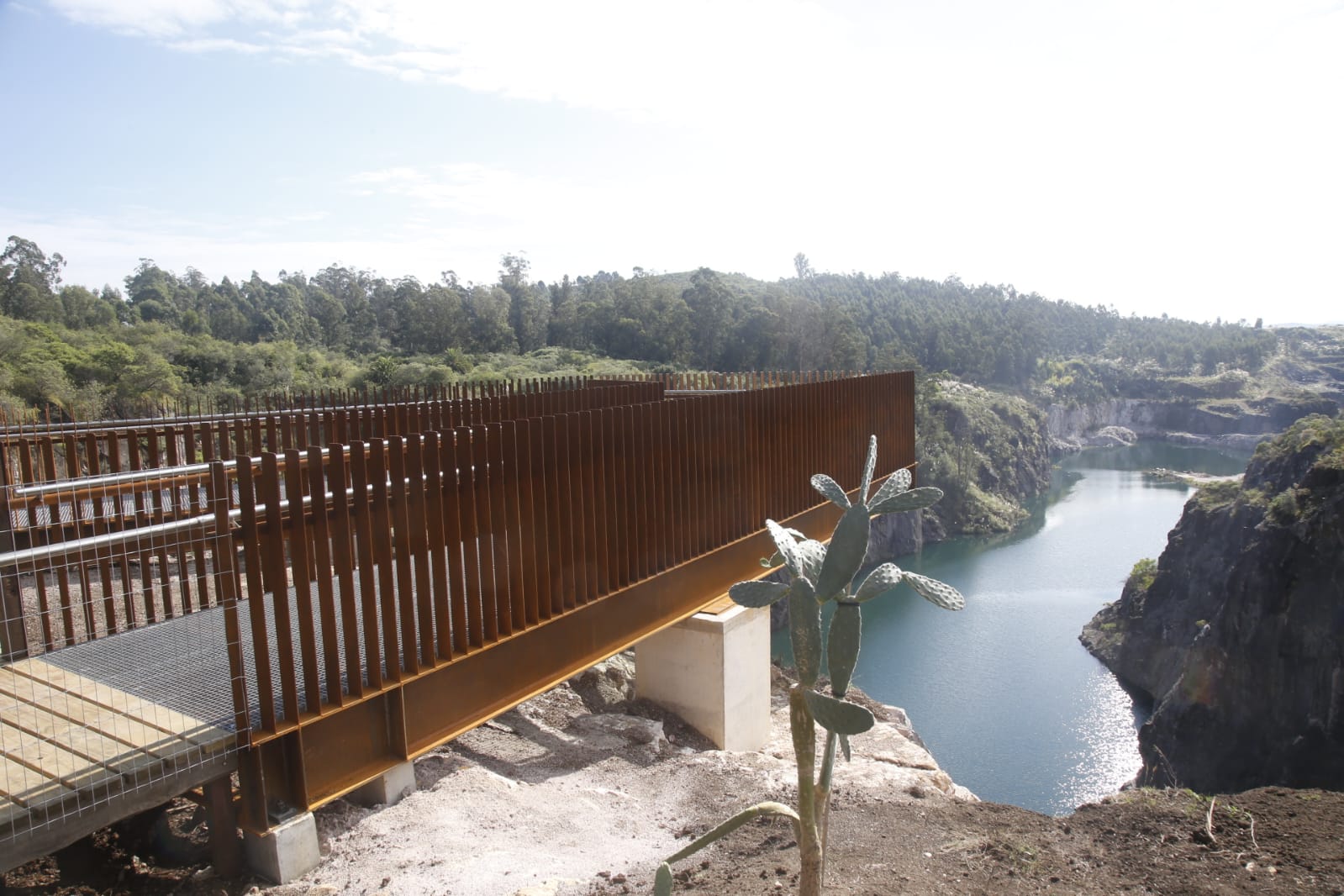 nueva carrara mirador