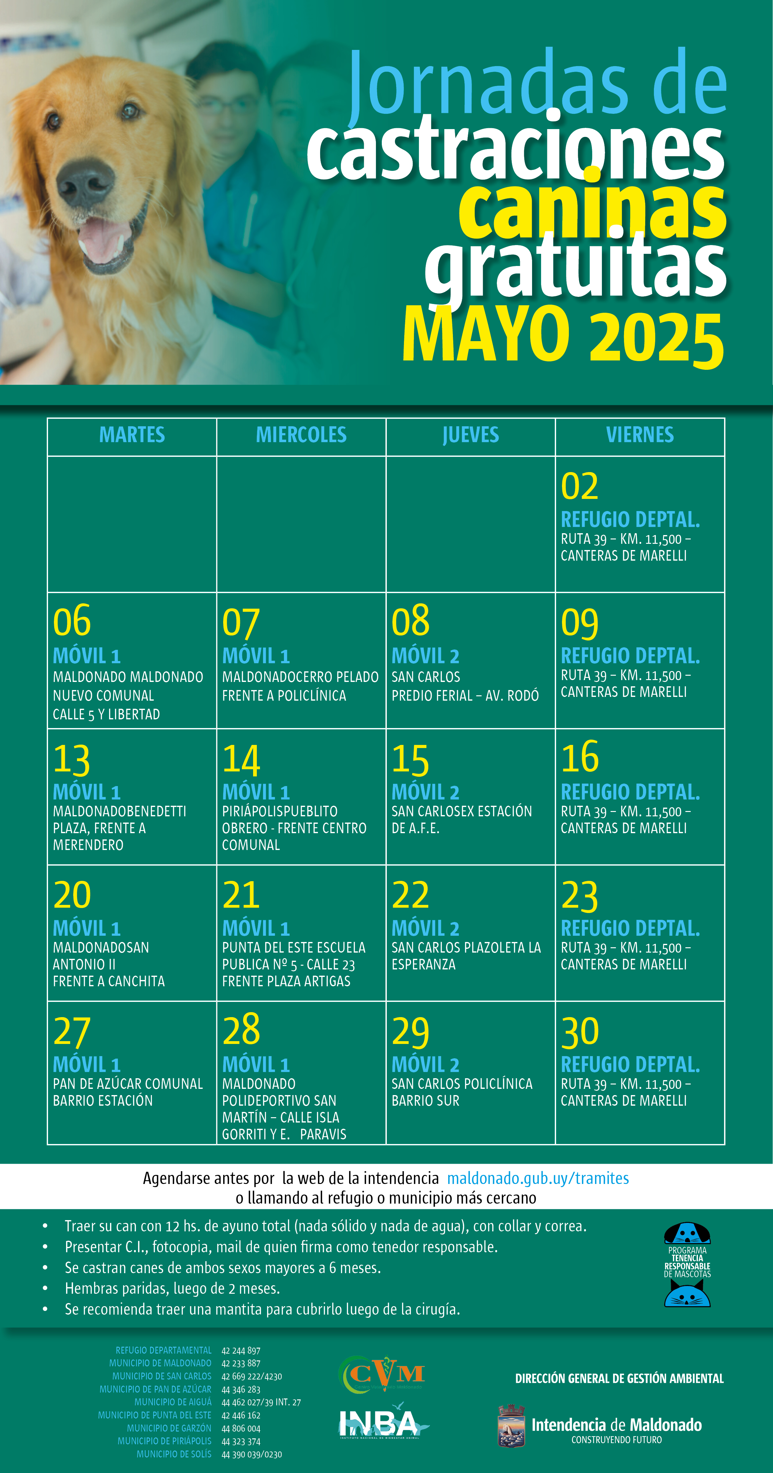 Calendario de castraciones caninas