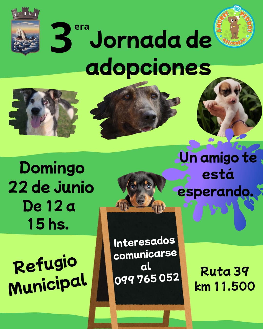 adopciones