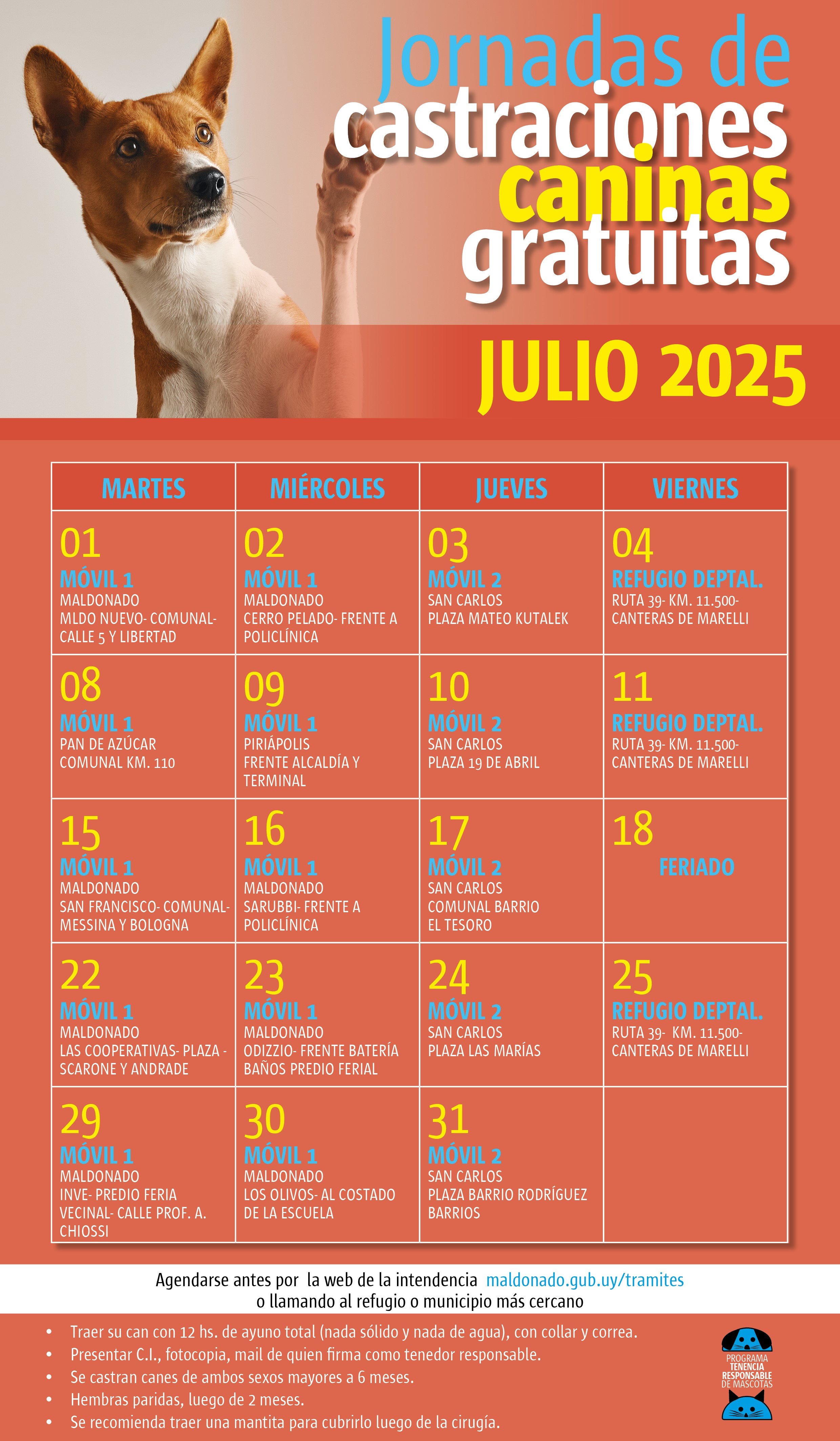 Calendario de castraciones caninas