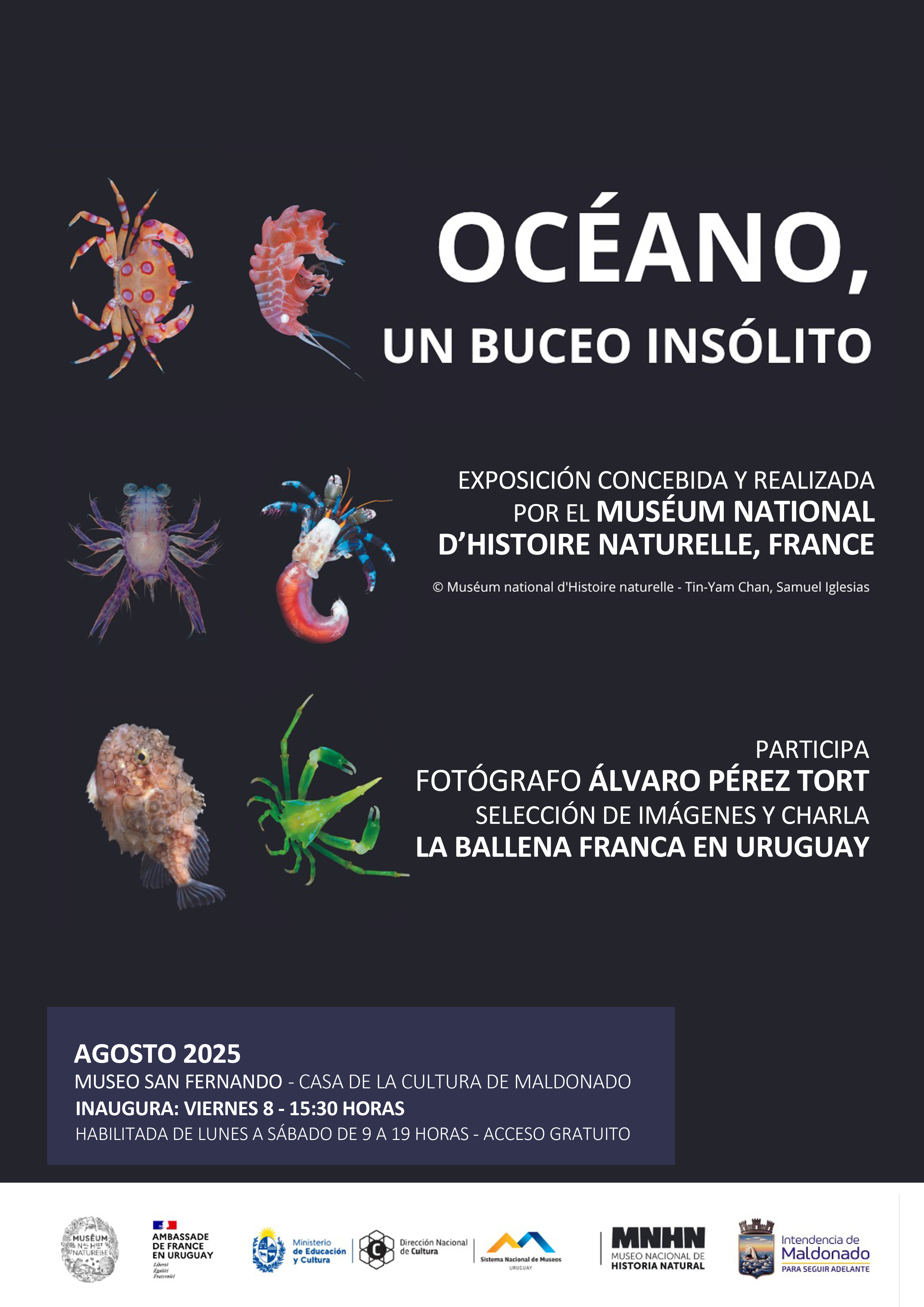muestra oceano