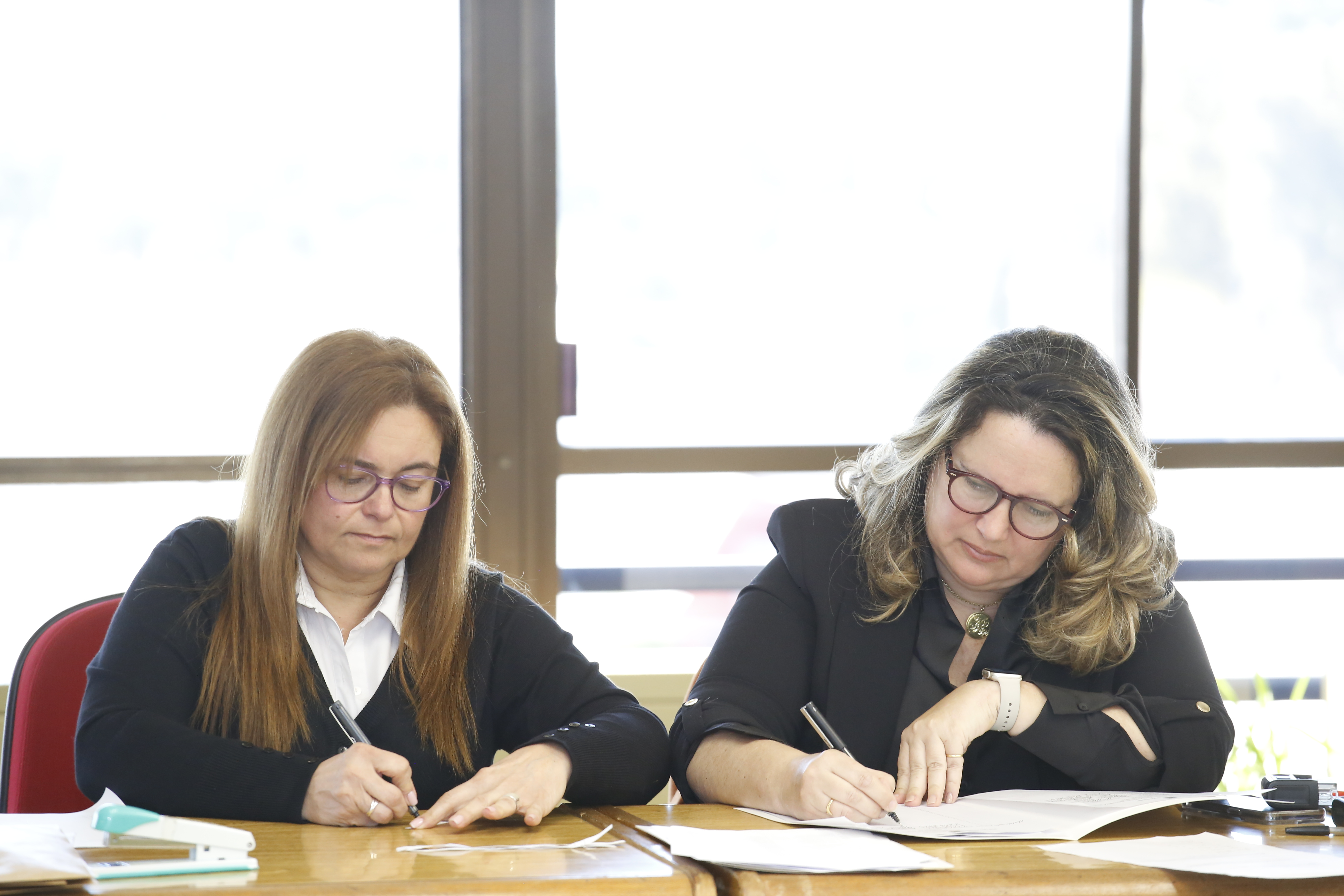 insercion laboral sorteo