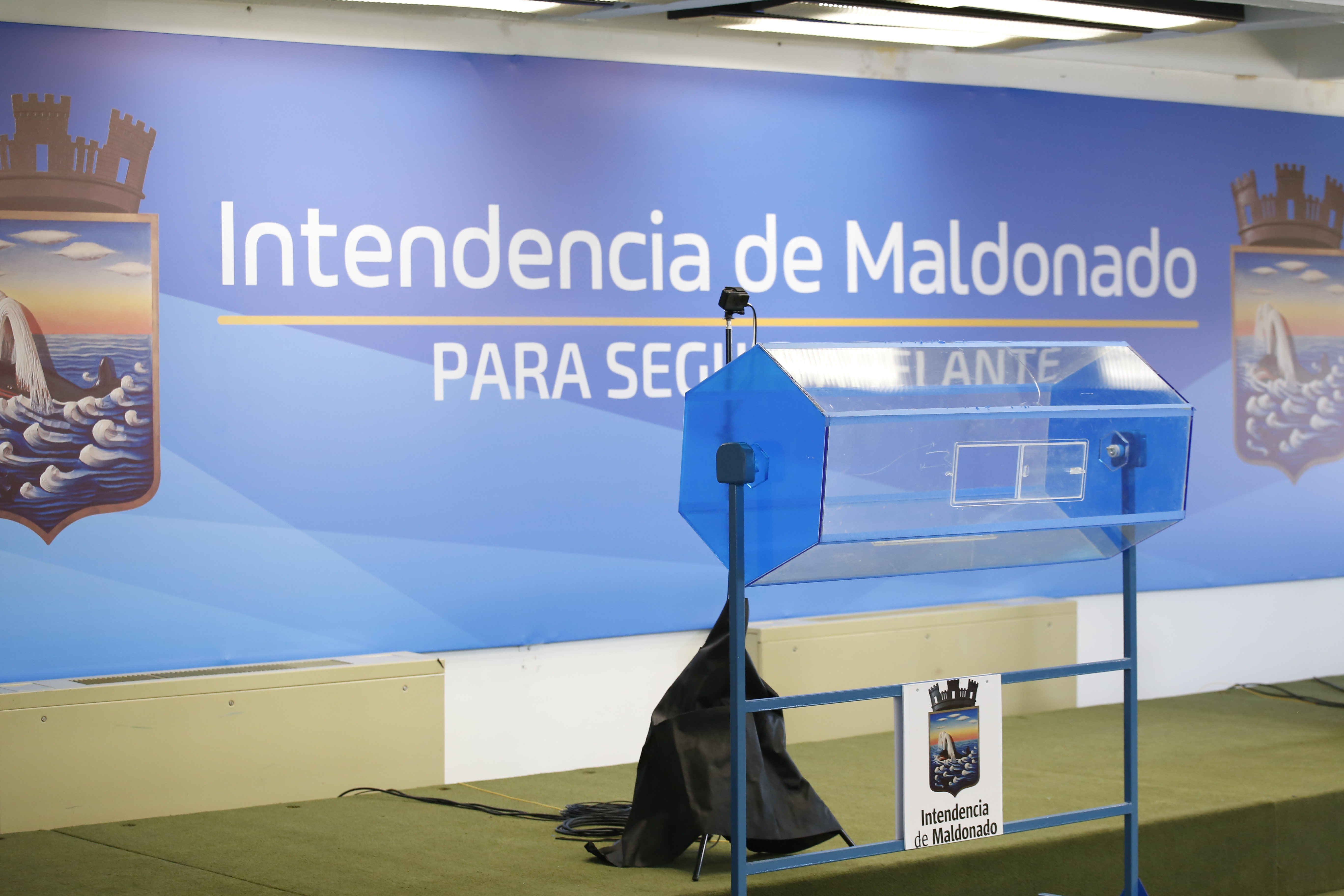 insercion laboral sorteo