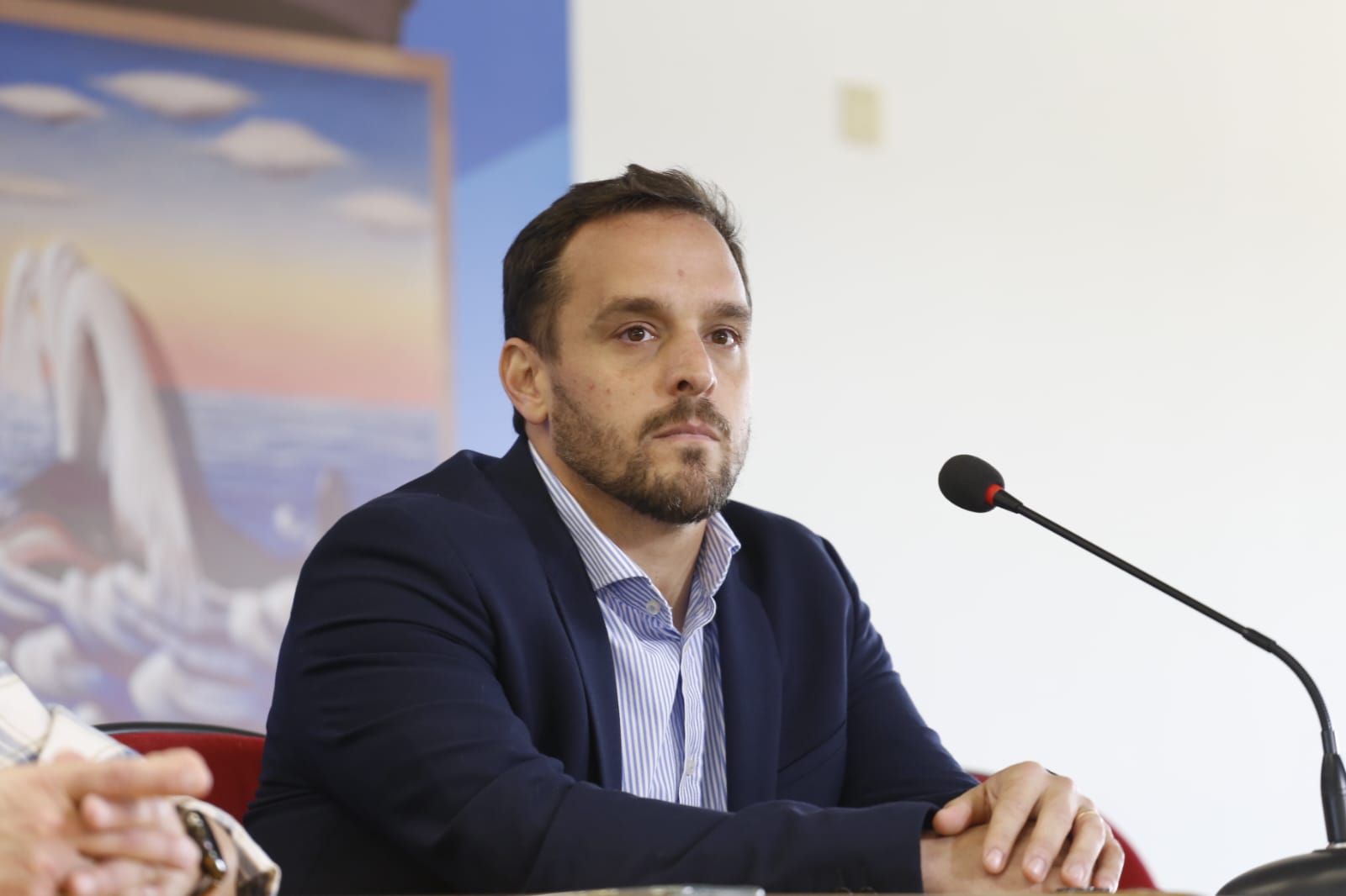 comisiones multipartidarias 