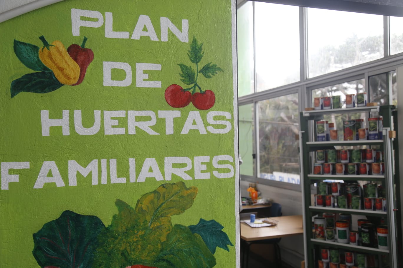 plan huertas familiares semillas