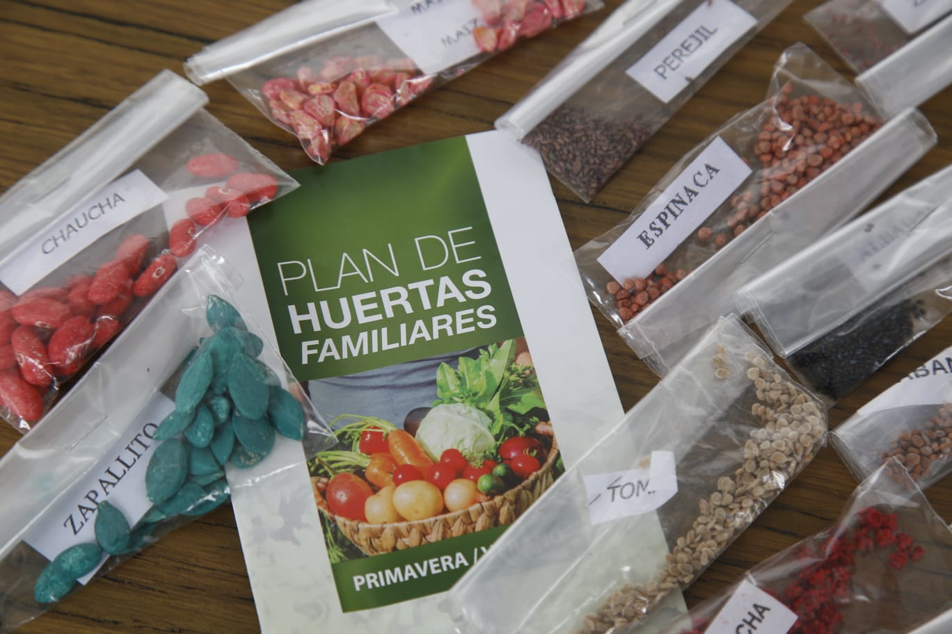 plan huertas familiares semillas