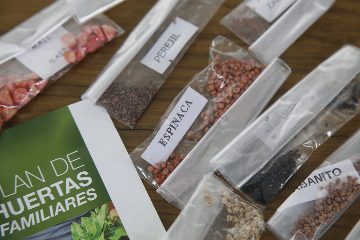 plan huertas familiares semillas