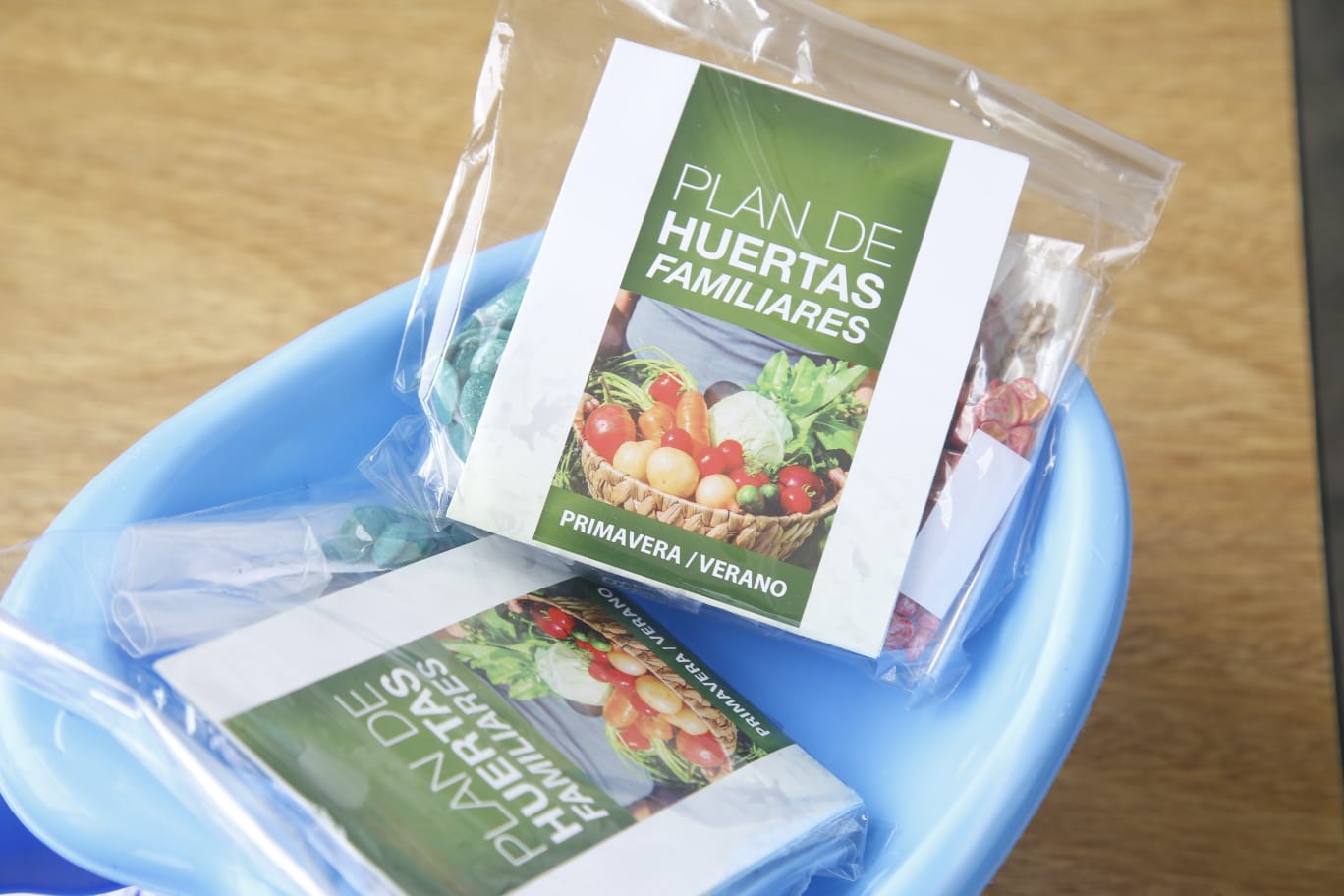 plan huertas familiares semillas