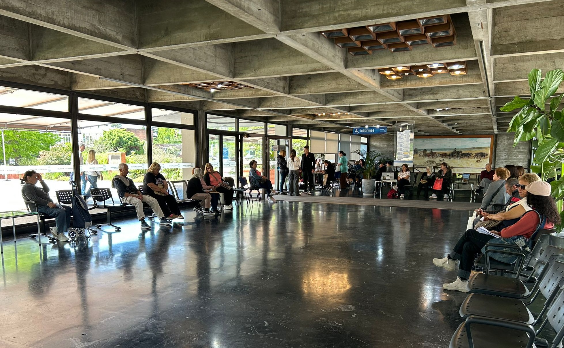 exoneracion jubilados