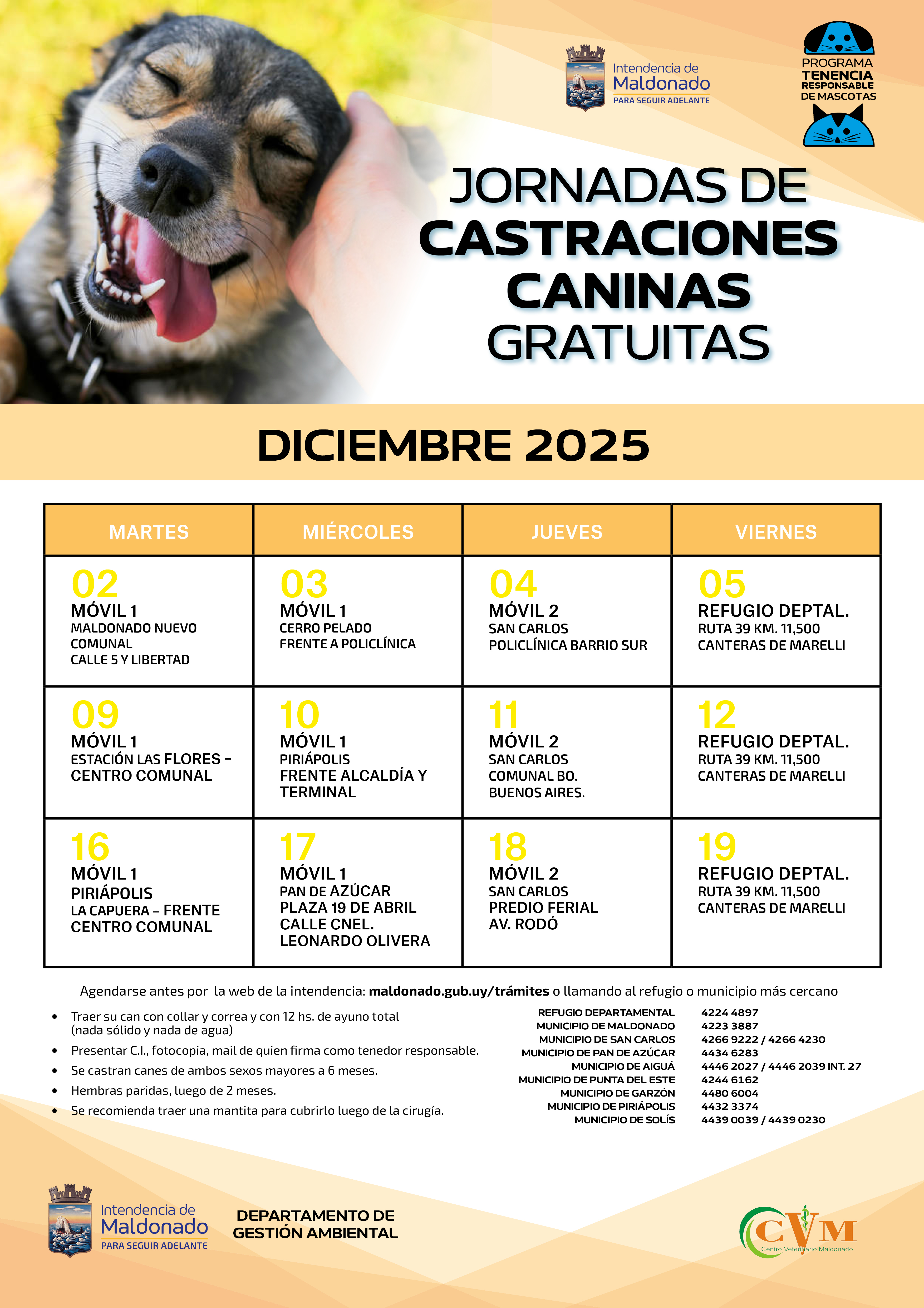 Castraciones Diciembre 2025