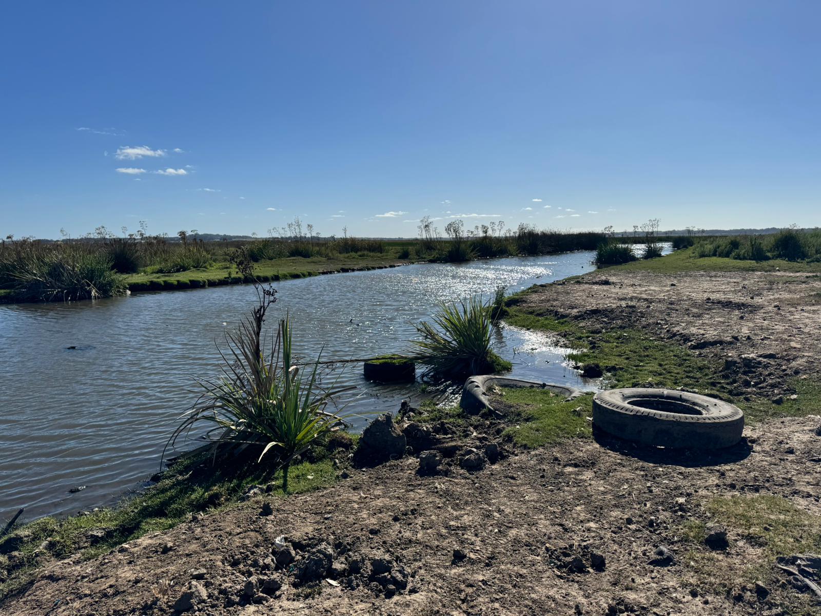 limpieza cañada humedal