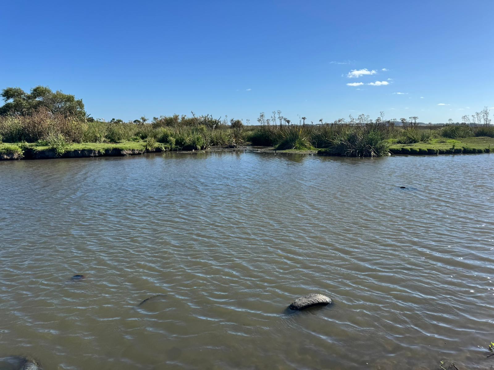 limpieza cañada humedal