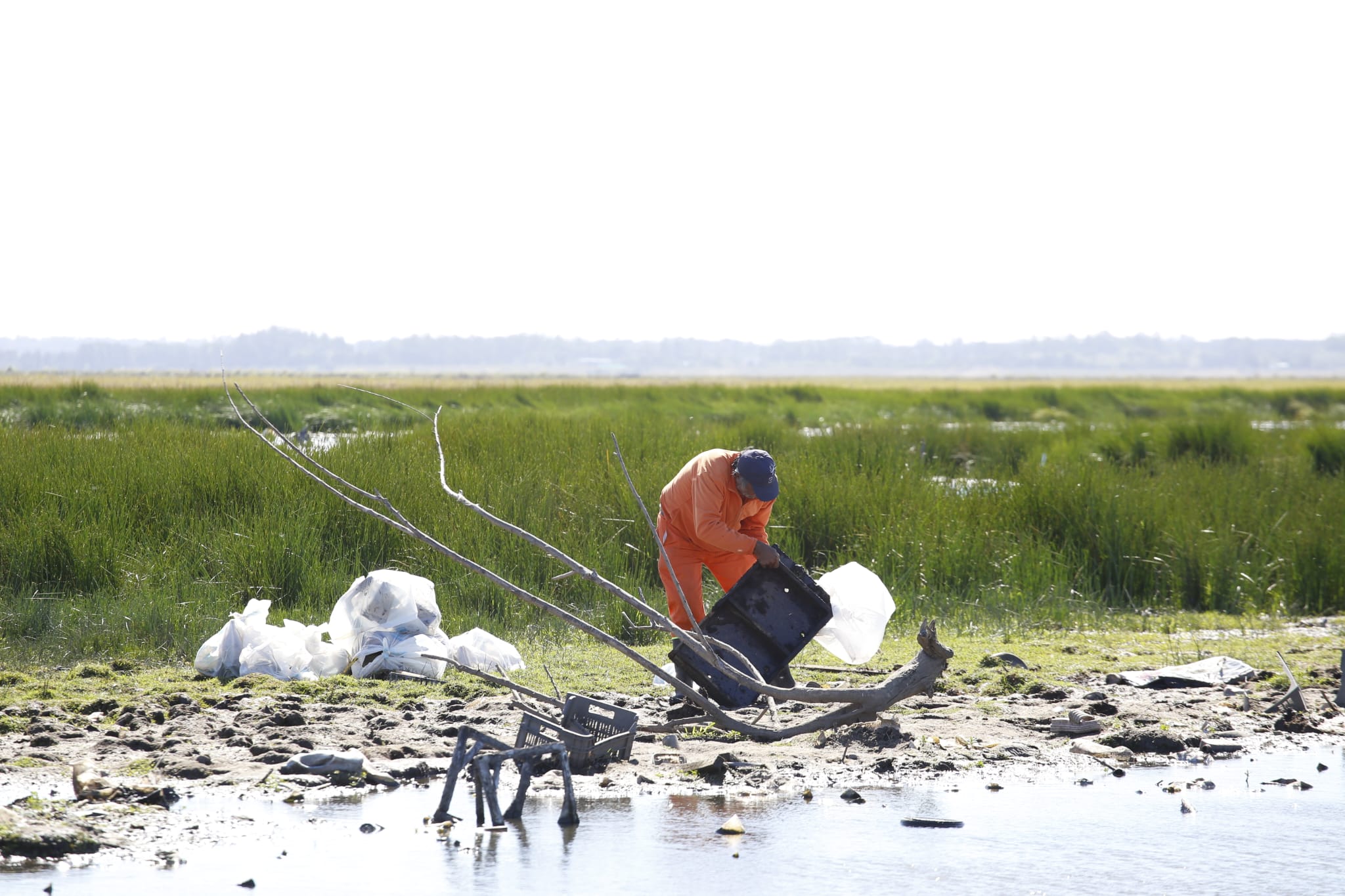 limpieza cañada humedal