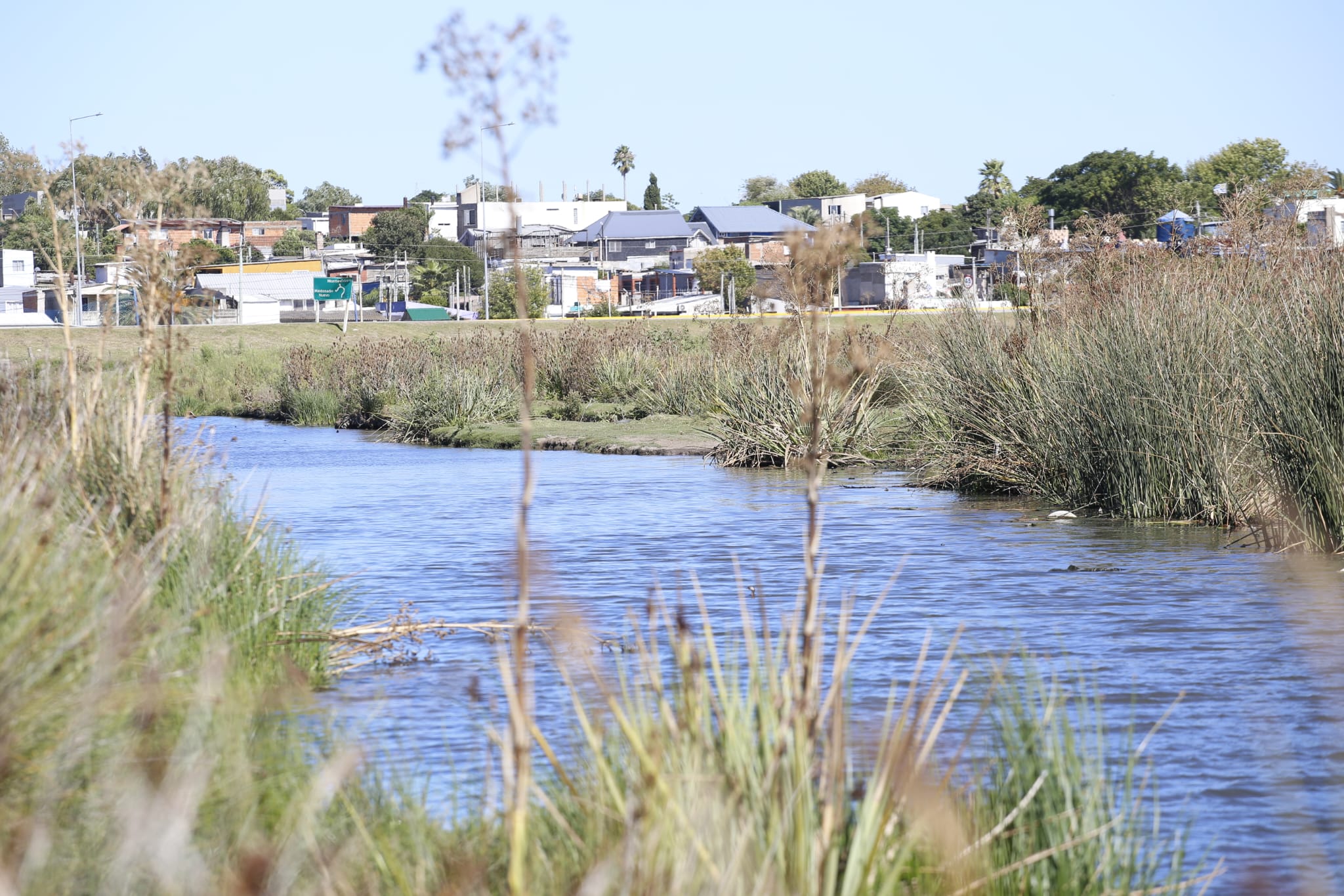 limpieza cañada humedal