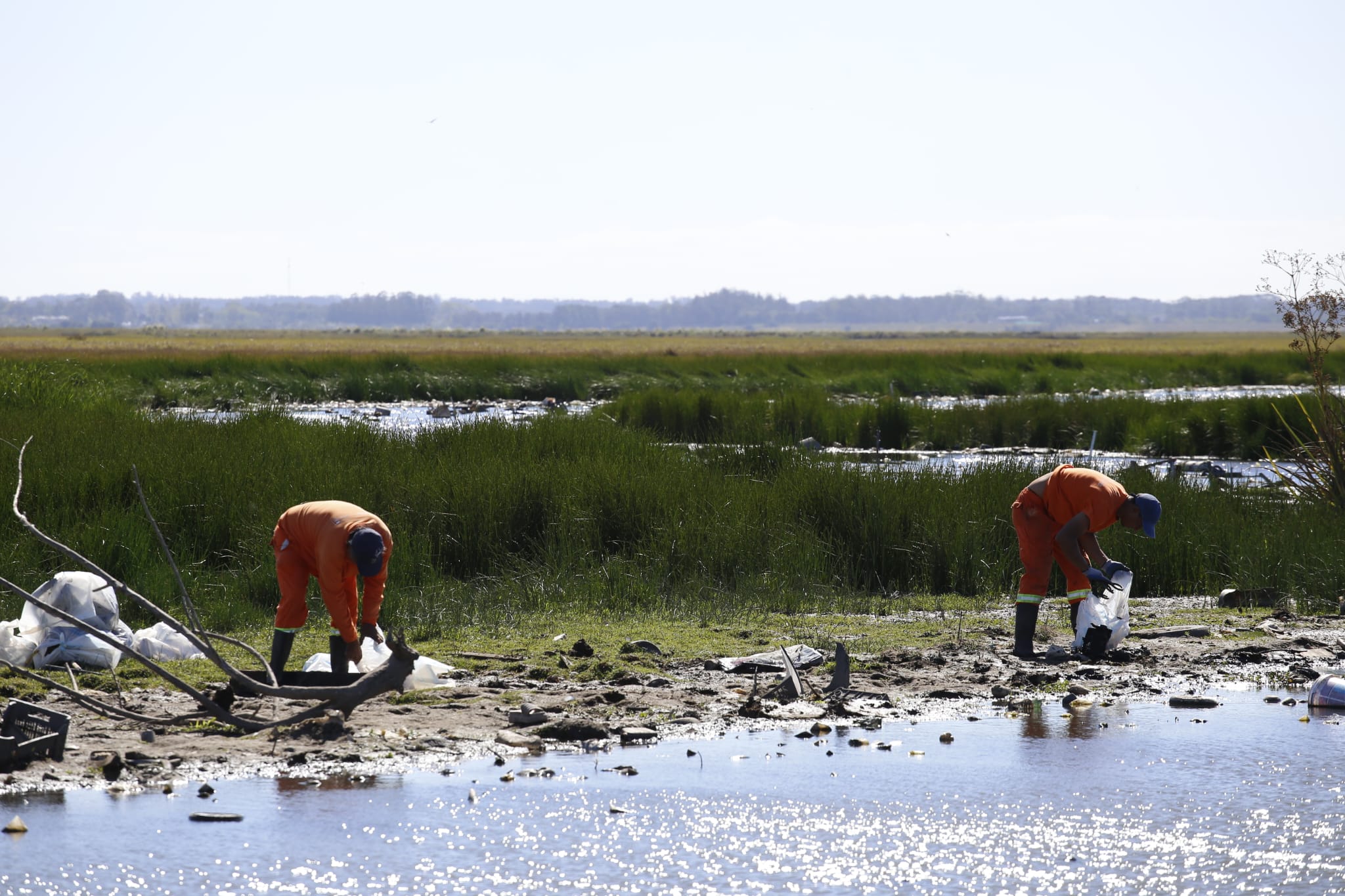 limpieza cañada humedal