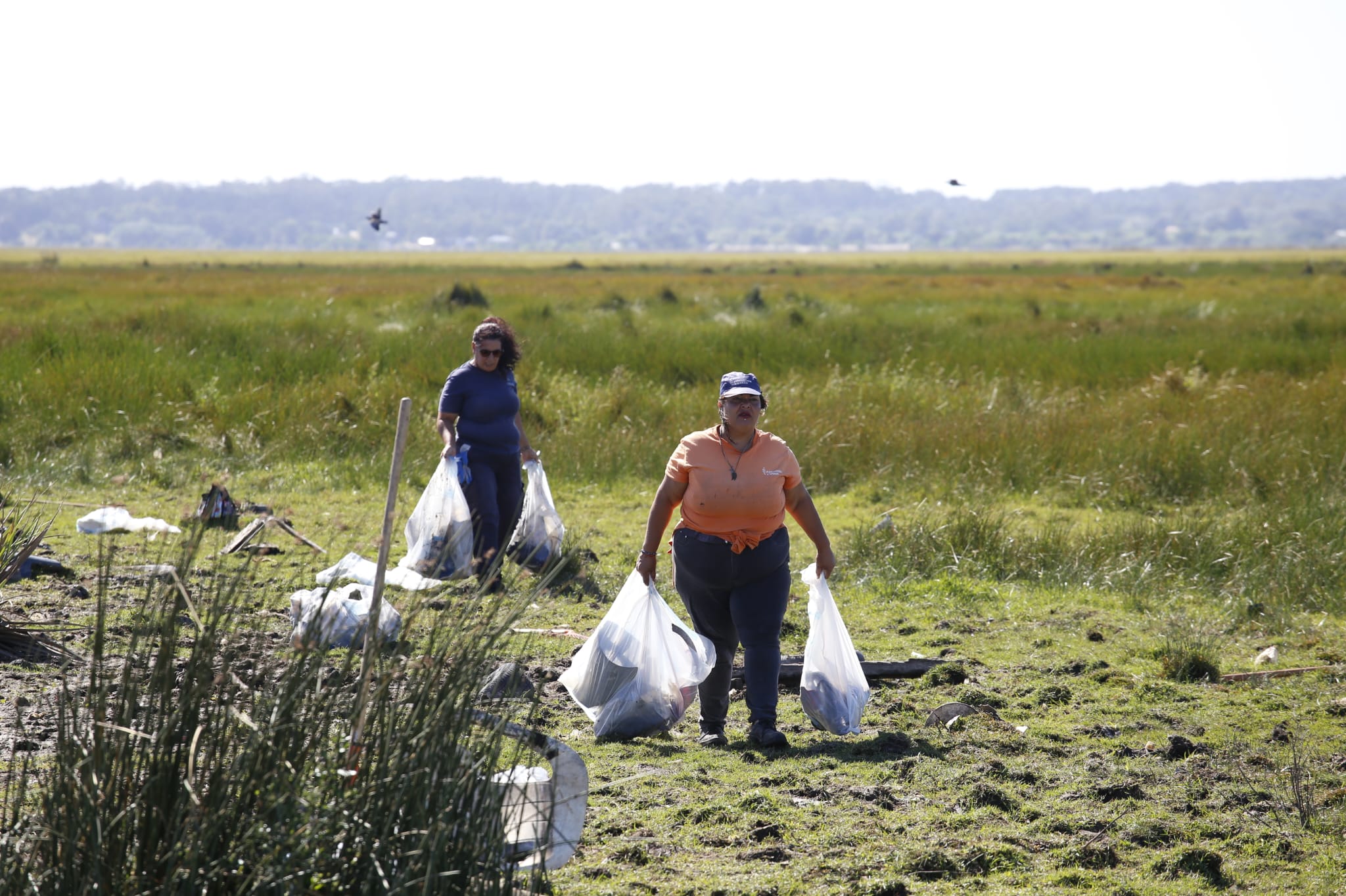 limpieza cañada humedal