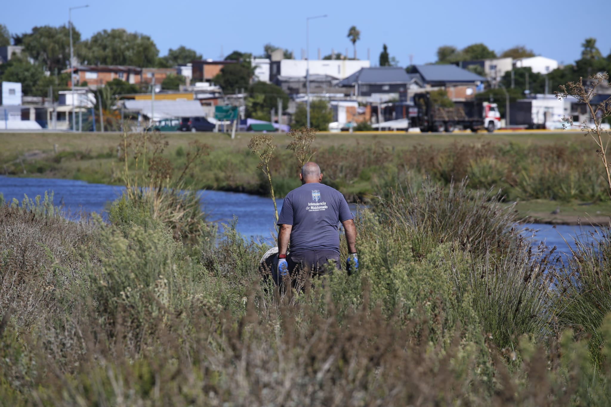 limpieza cañada humedal