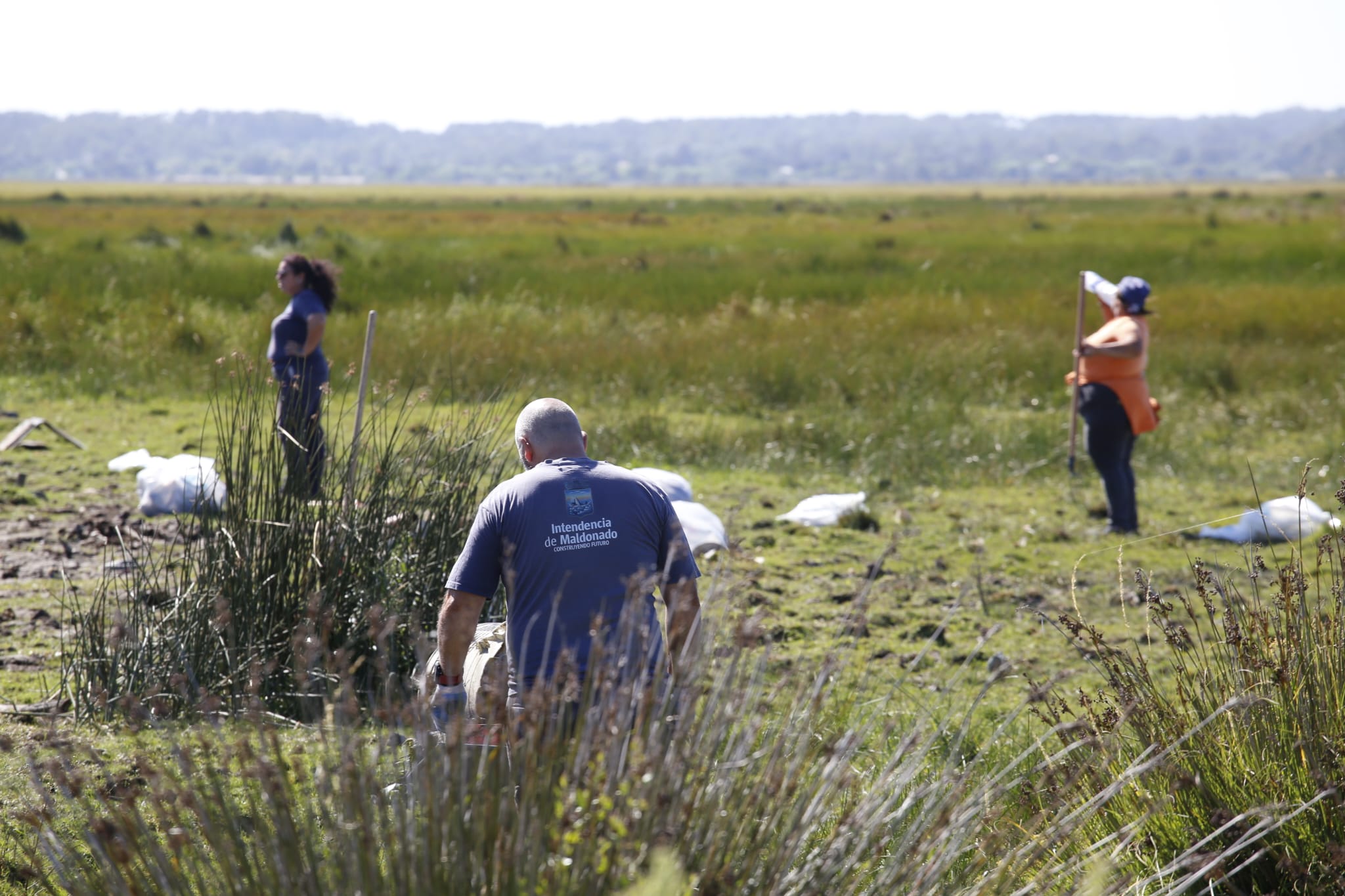 limpieza cañada humedal