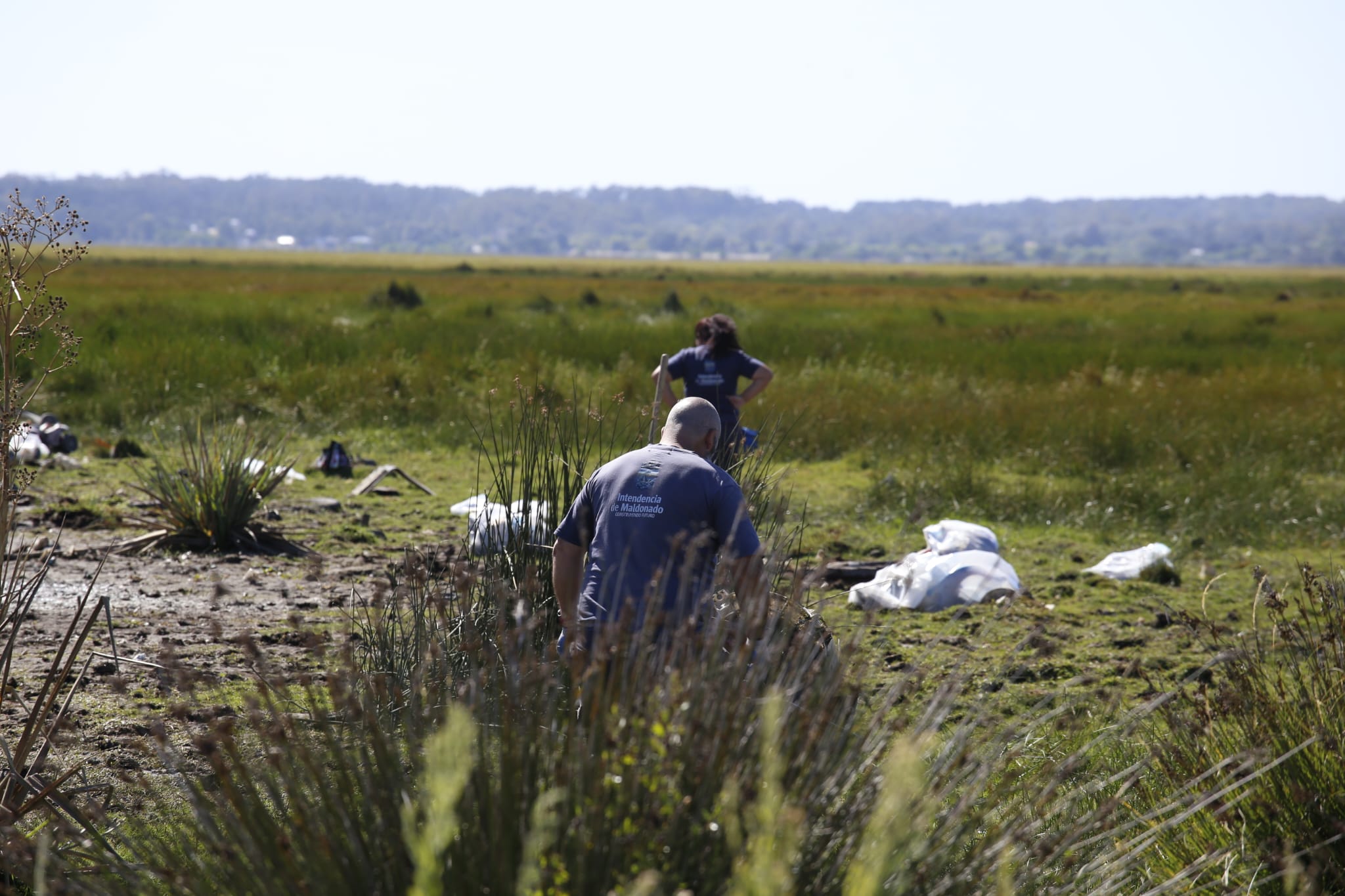 limpieza cañada humedal