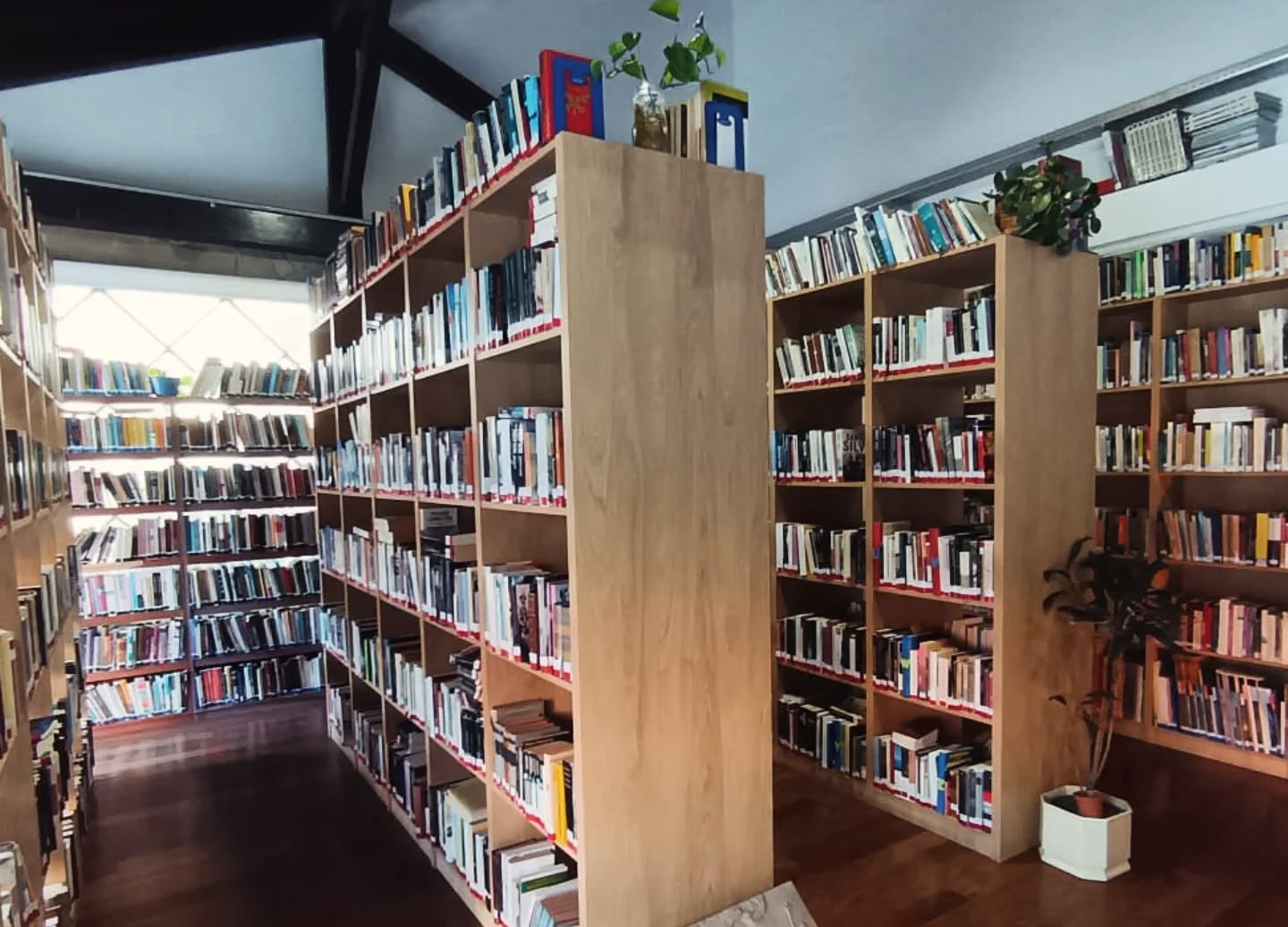 Libros