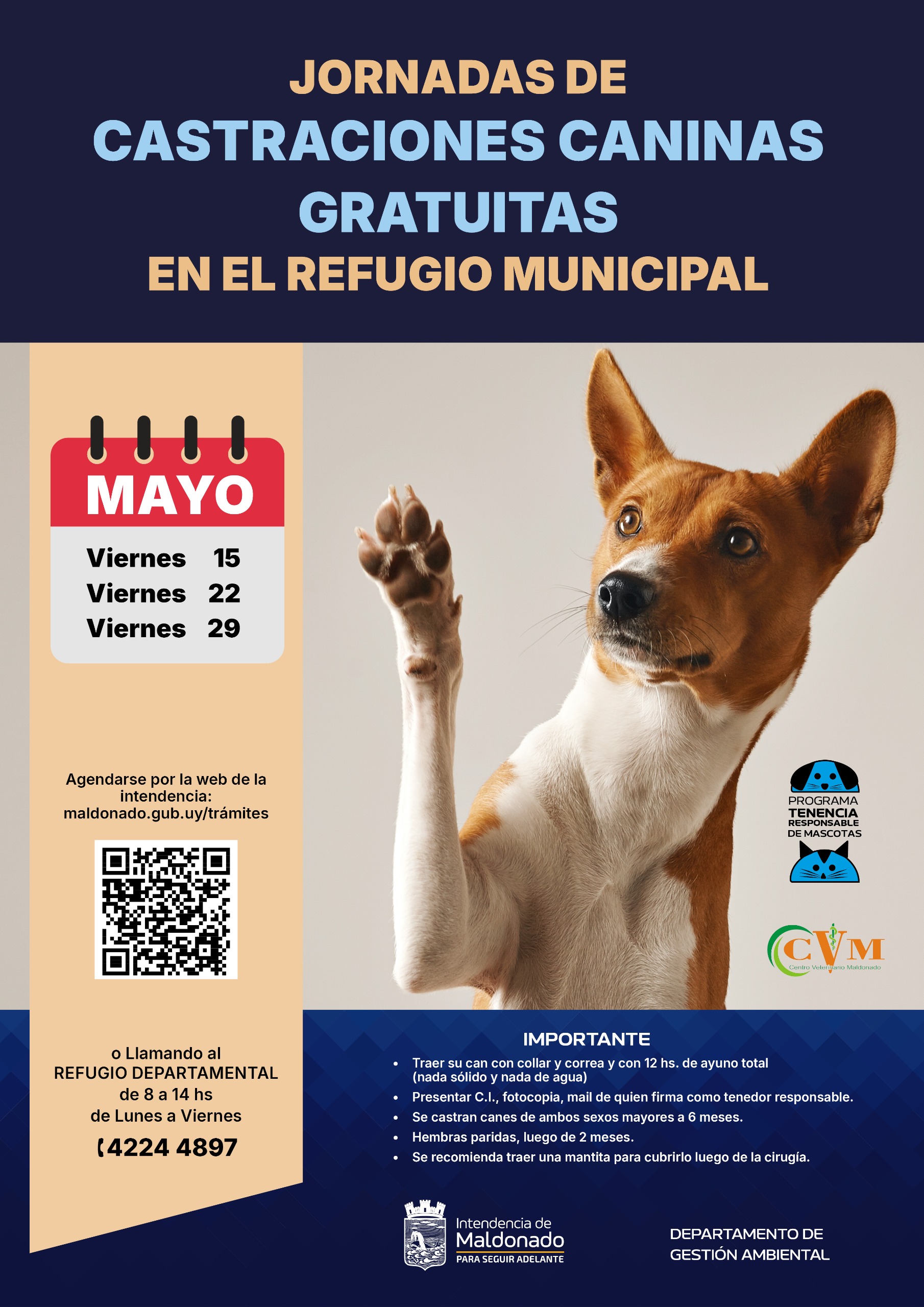 Calendario de castraciones caninas