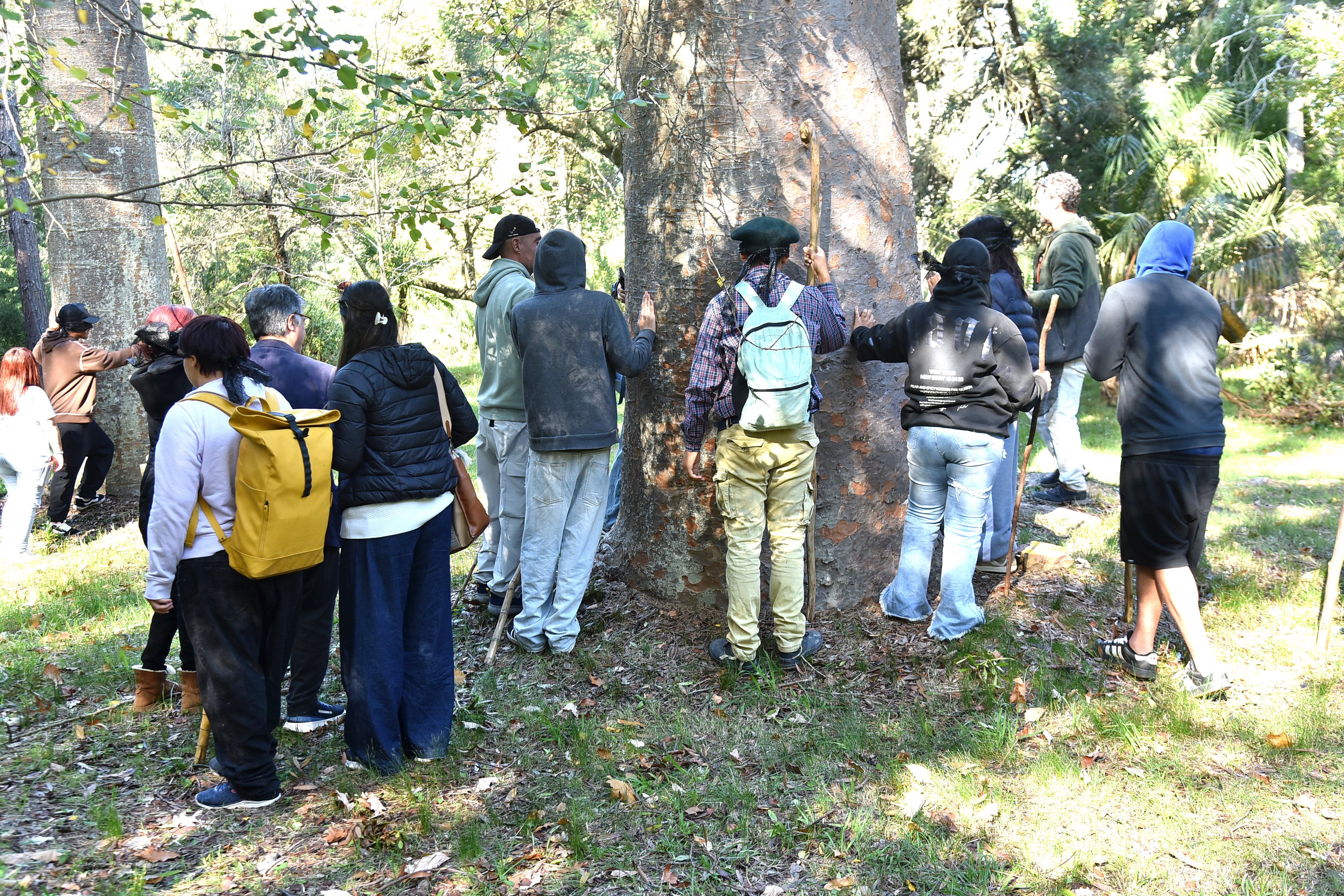 inau anep idm arboretum