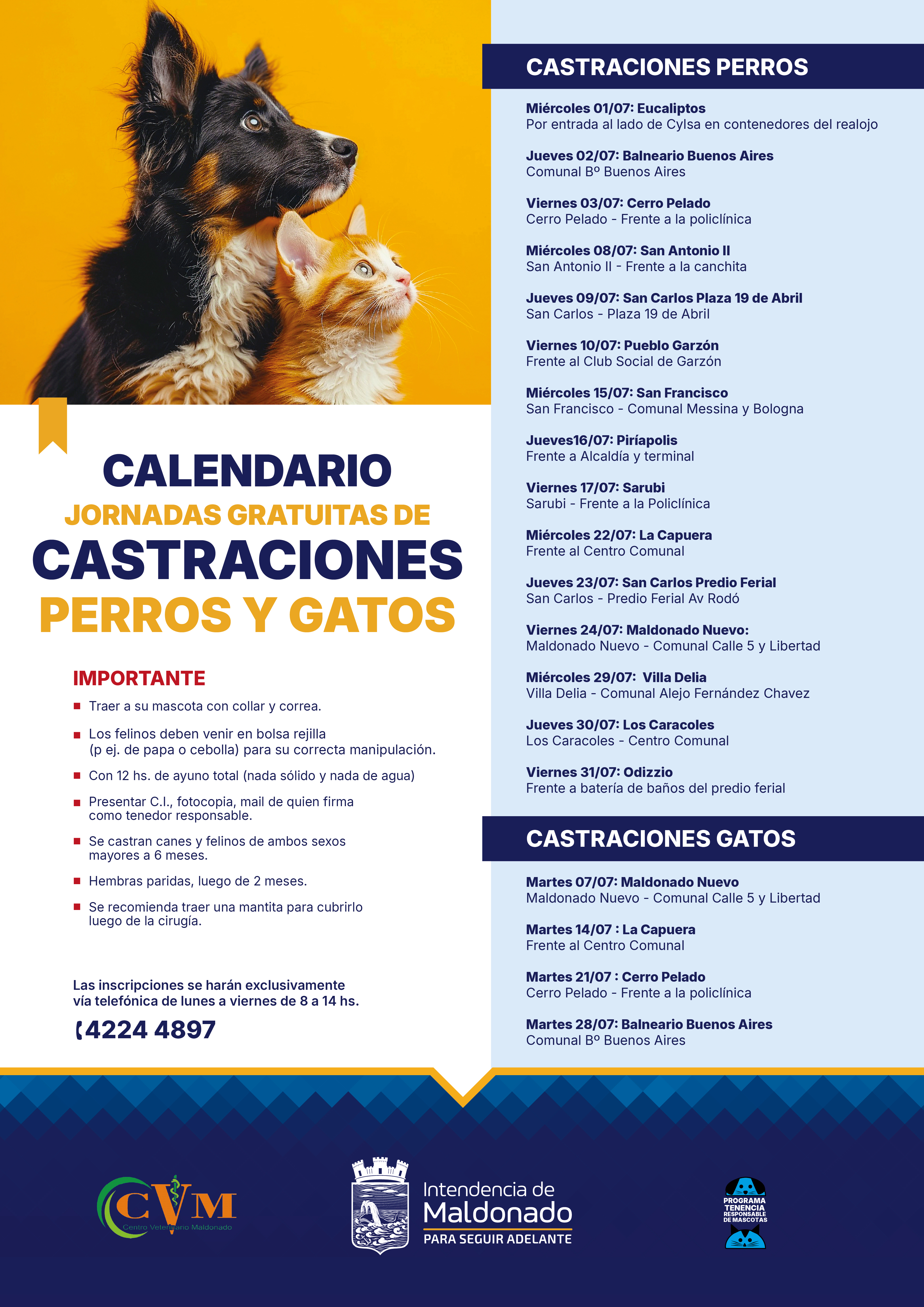 Calendario de castraciones 