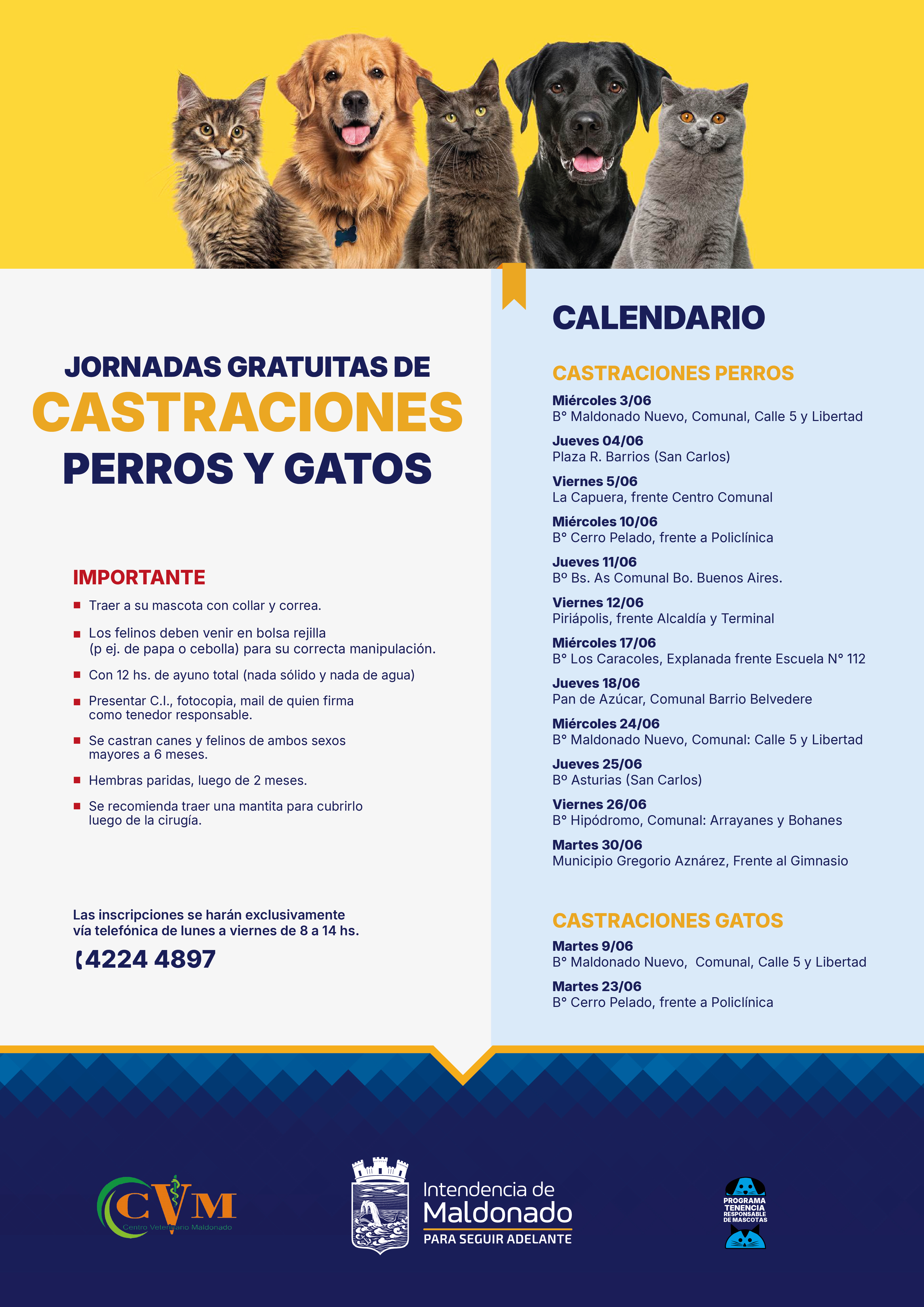 Calendario de castraciones caninas