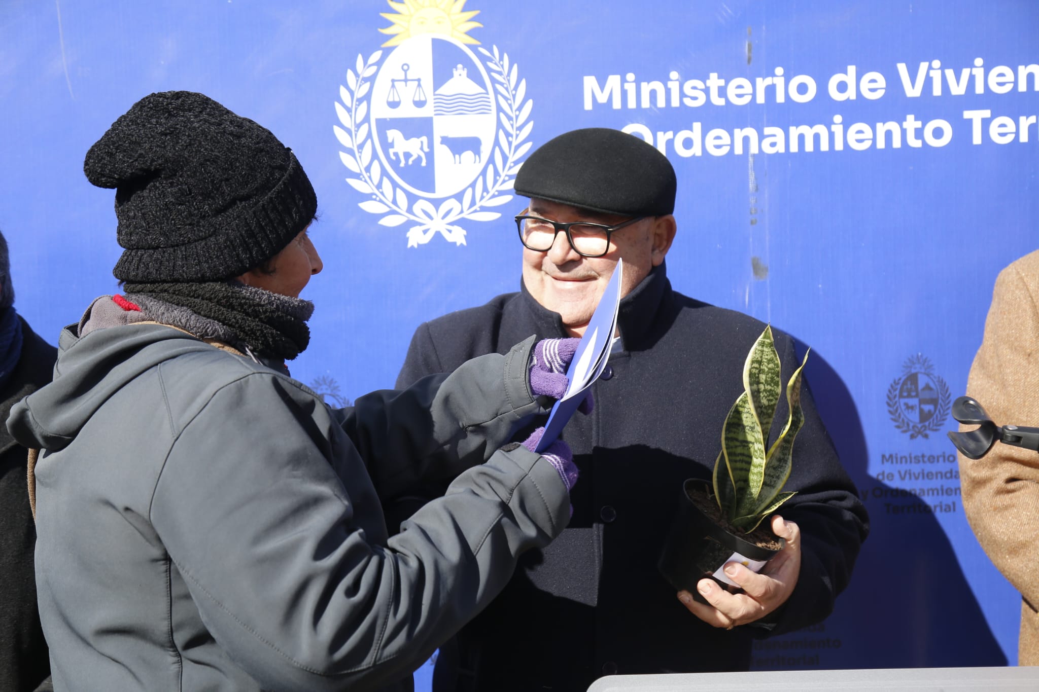 abella asentamiento